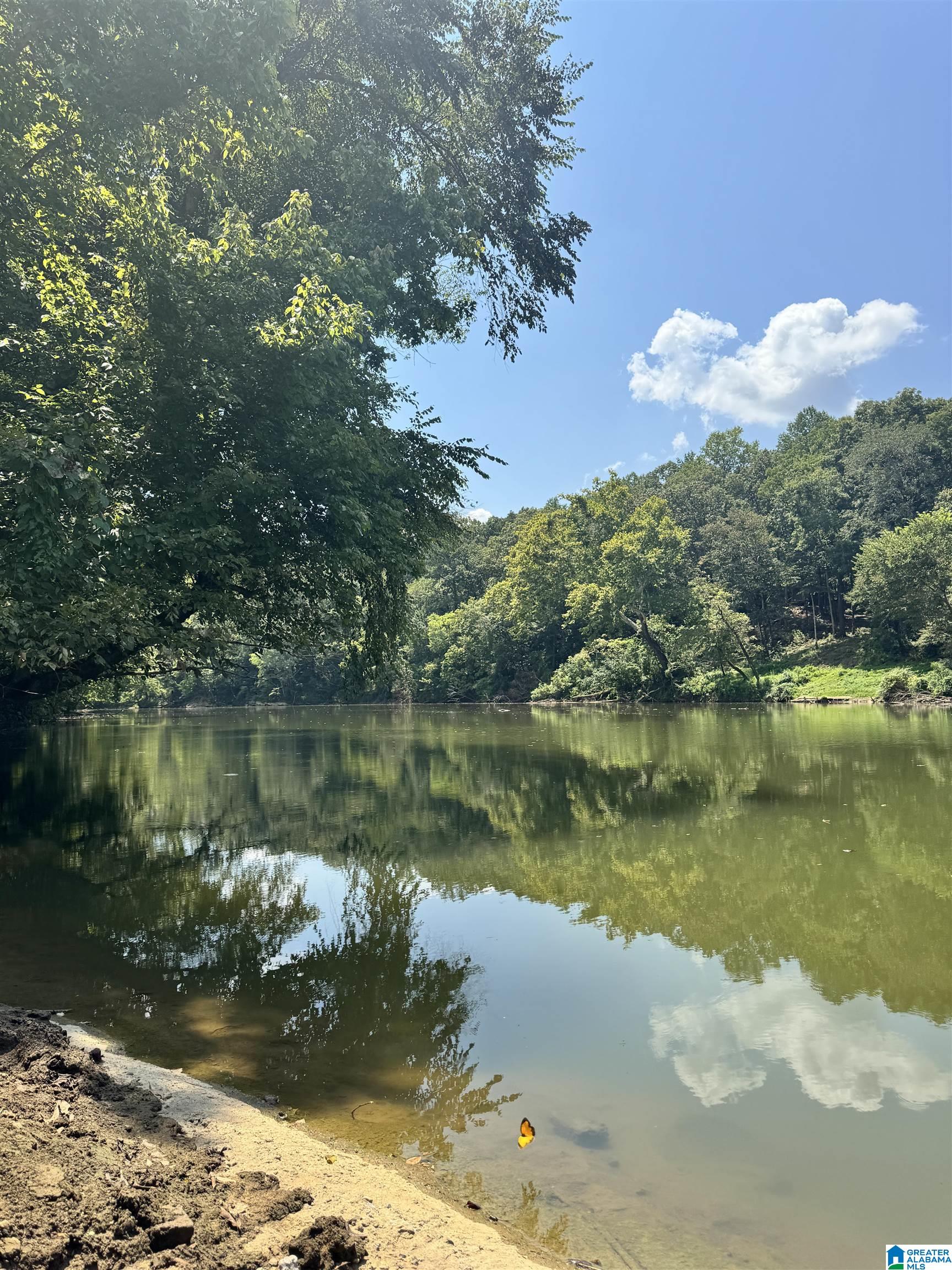 Homes for sale in Centreville, AL | 2270 Birmingham Road, Centreville, AL 35042 | MLS# 21445364