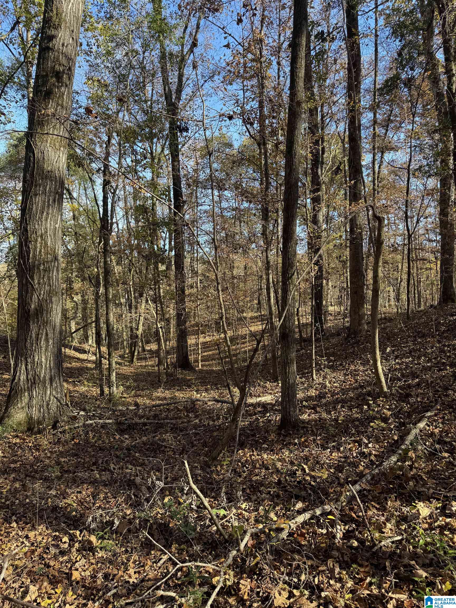 Homes for sale in Centreville, AL | 2270 Birmingham Road, Centreville, AL 35042 | MLS# 21445364