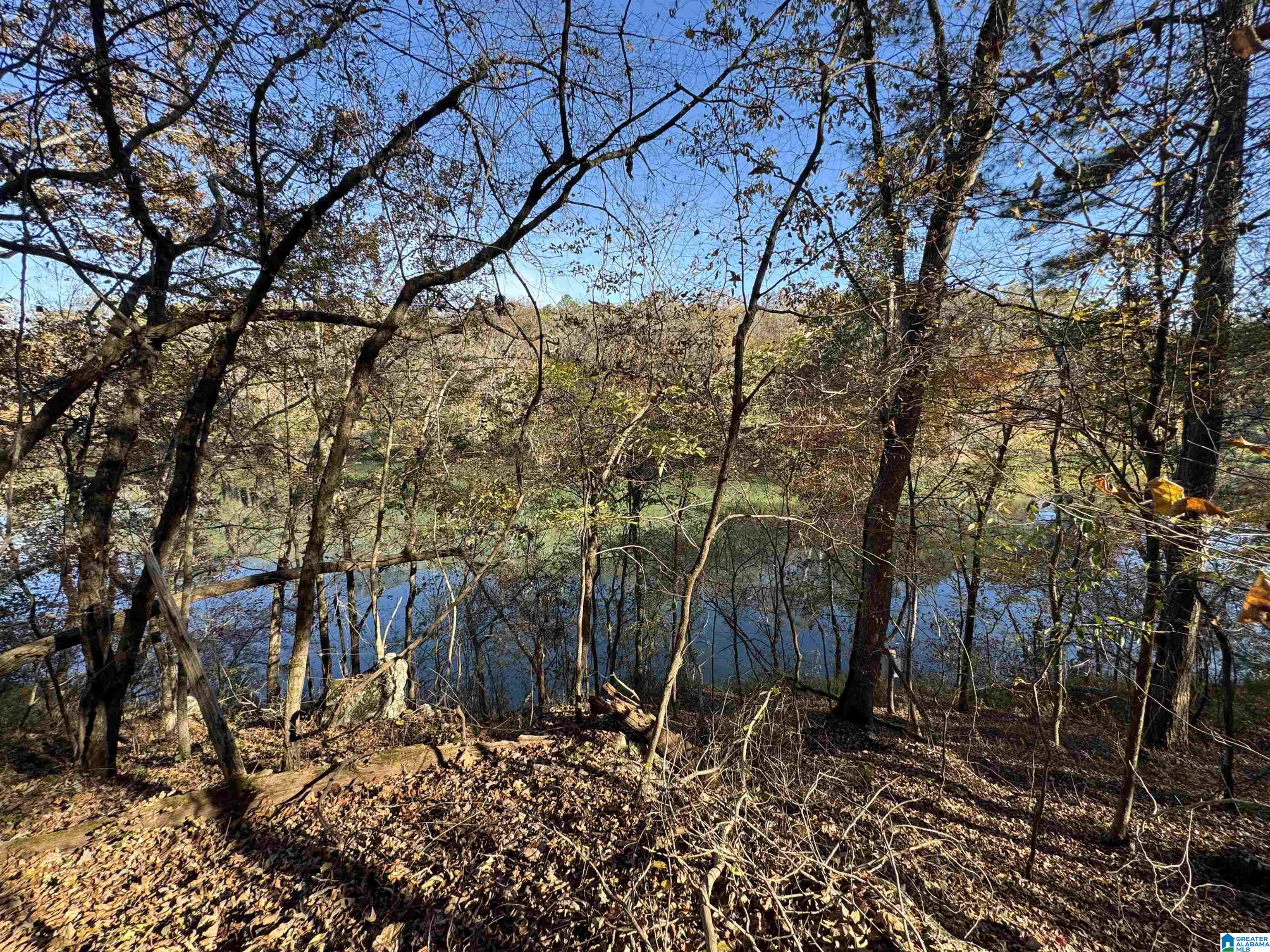 Homes for sale in Centreville, AL | 2270 Birmingham Road, Centreville, AL 35042 | MLS# 21445364