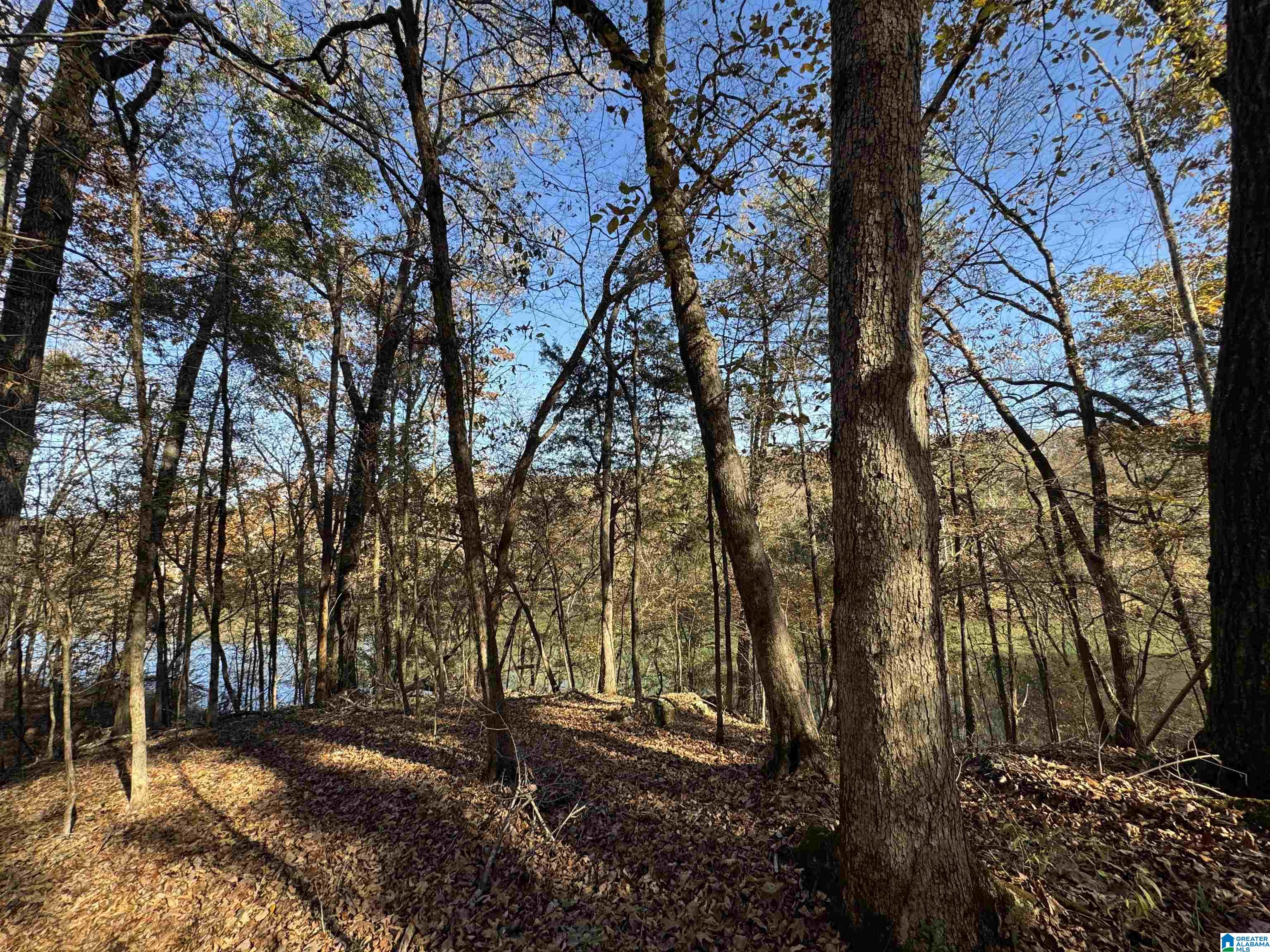 Homes for sale in Centreville, AL | 2270 Birmingham Road, Centreville, AL 35042 | MLS# 21445364