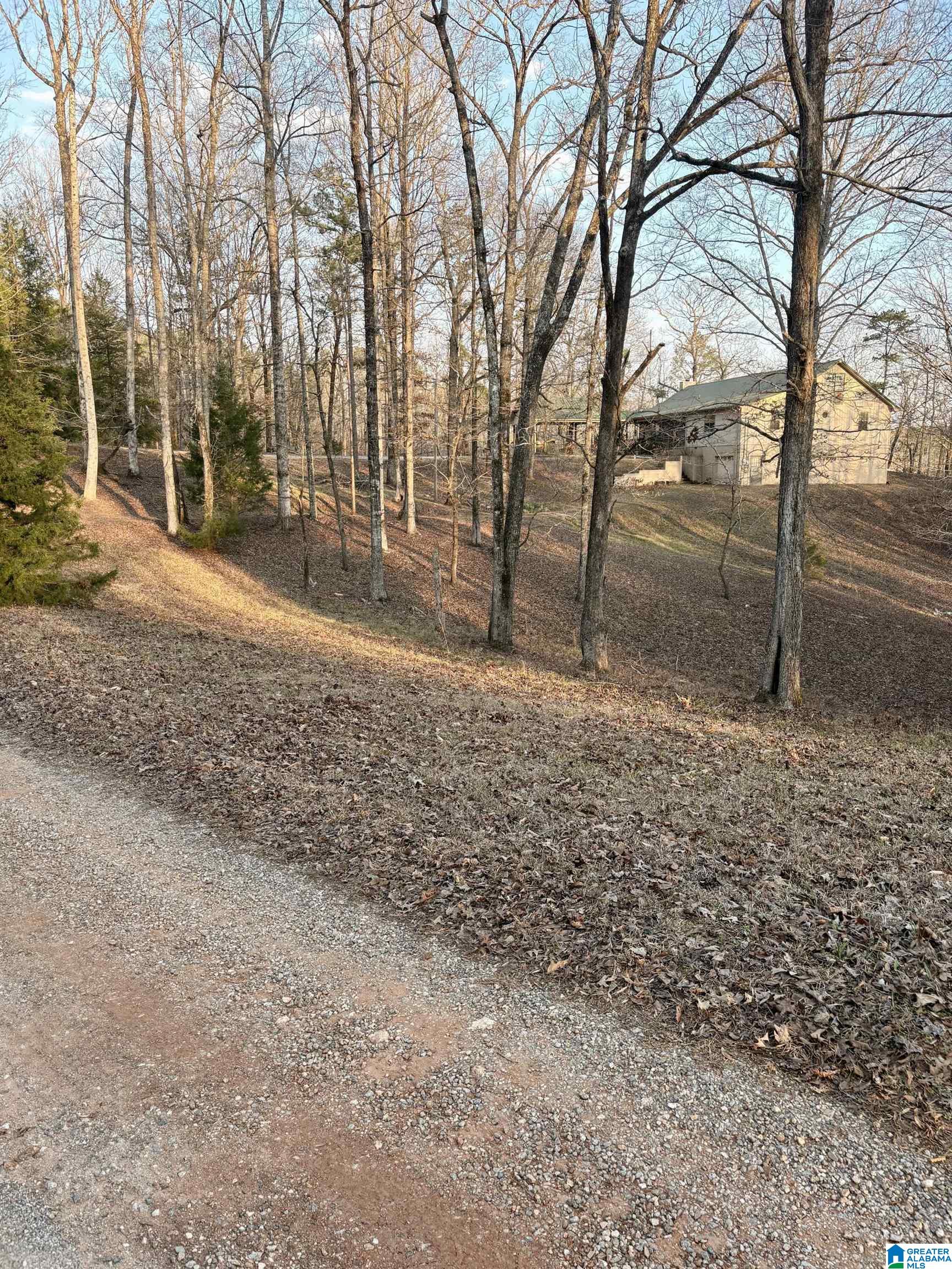 Homes for sale in Rockford, AL | 600 Coosa County Road 301, Rockford, AL 35136 | MLS# 21445389