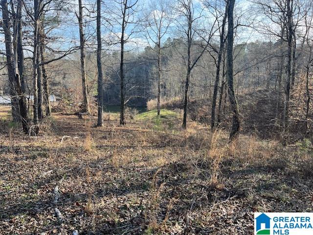 Homes for sale in Clanton, AL | Lot 50 Whistler Way, Clanton, AL 35046 | MLS# 21445404