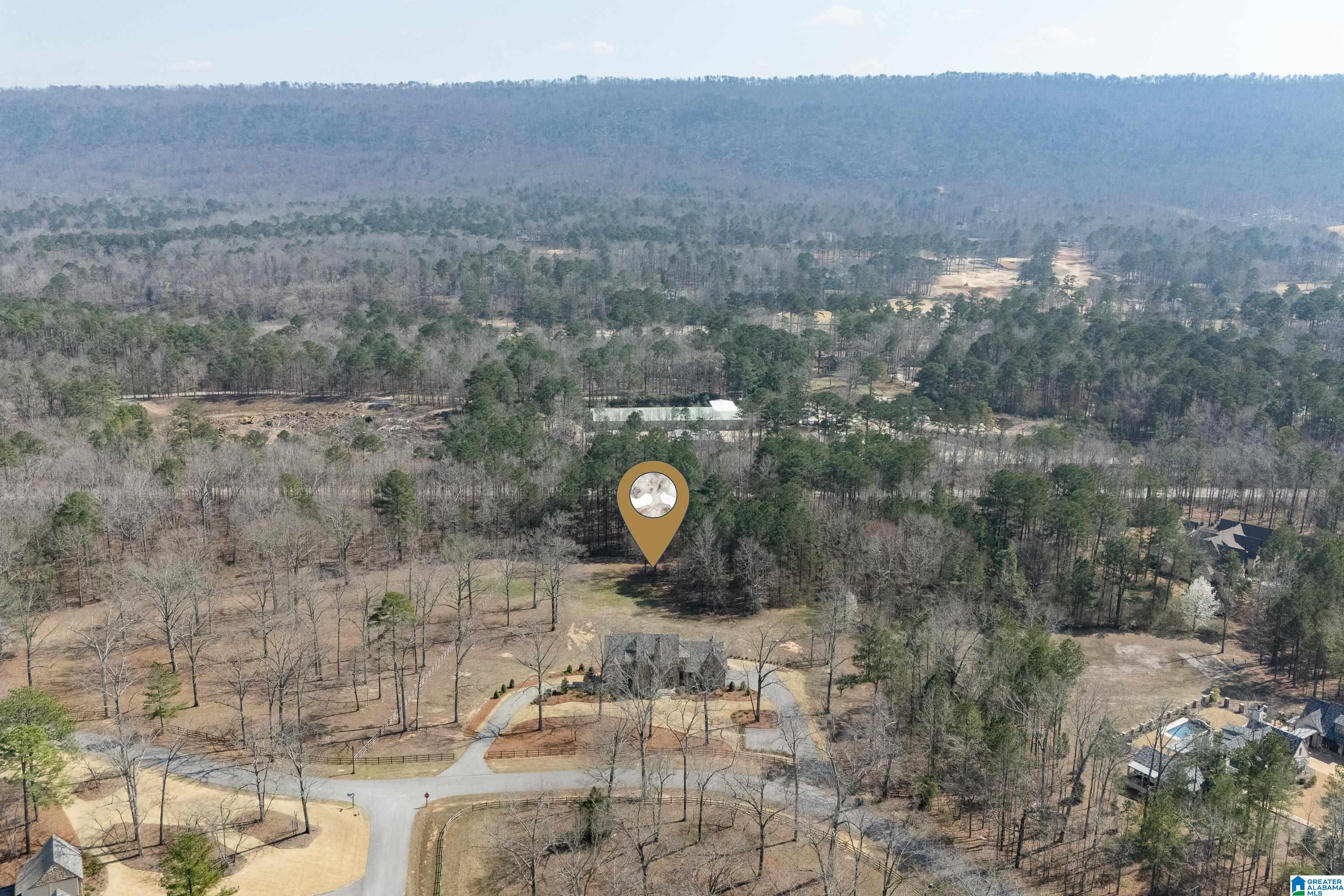 Homes for sale in Birmingham, AL | 244 South Oak Dr, Birmingham, AL 35242 | MLS# 21445420