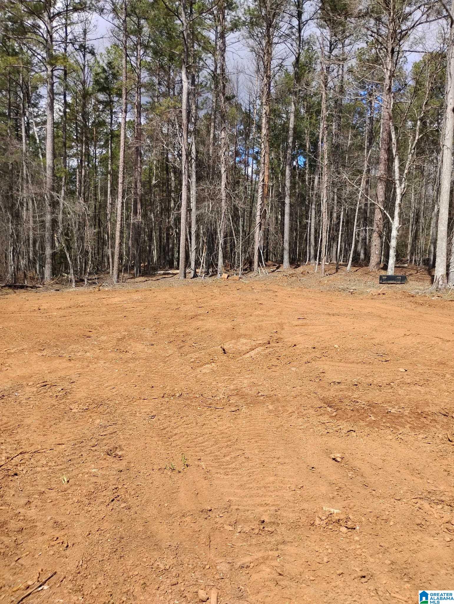 3rd image of 534 Foster Cove Dr, Lineville, AL 36266 | MLS# 21445460