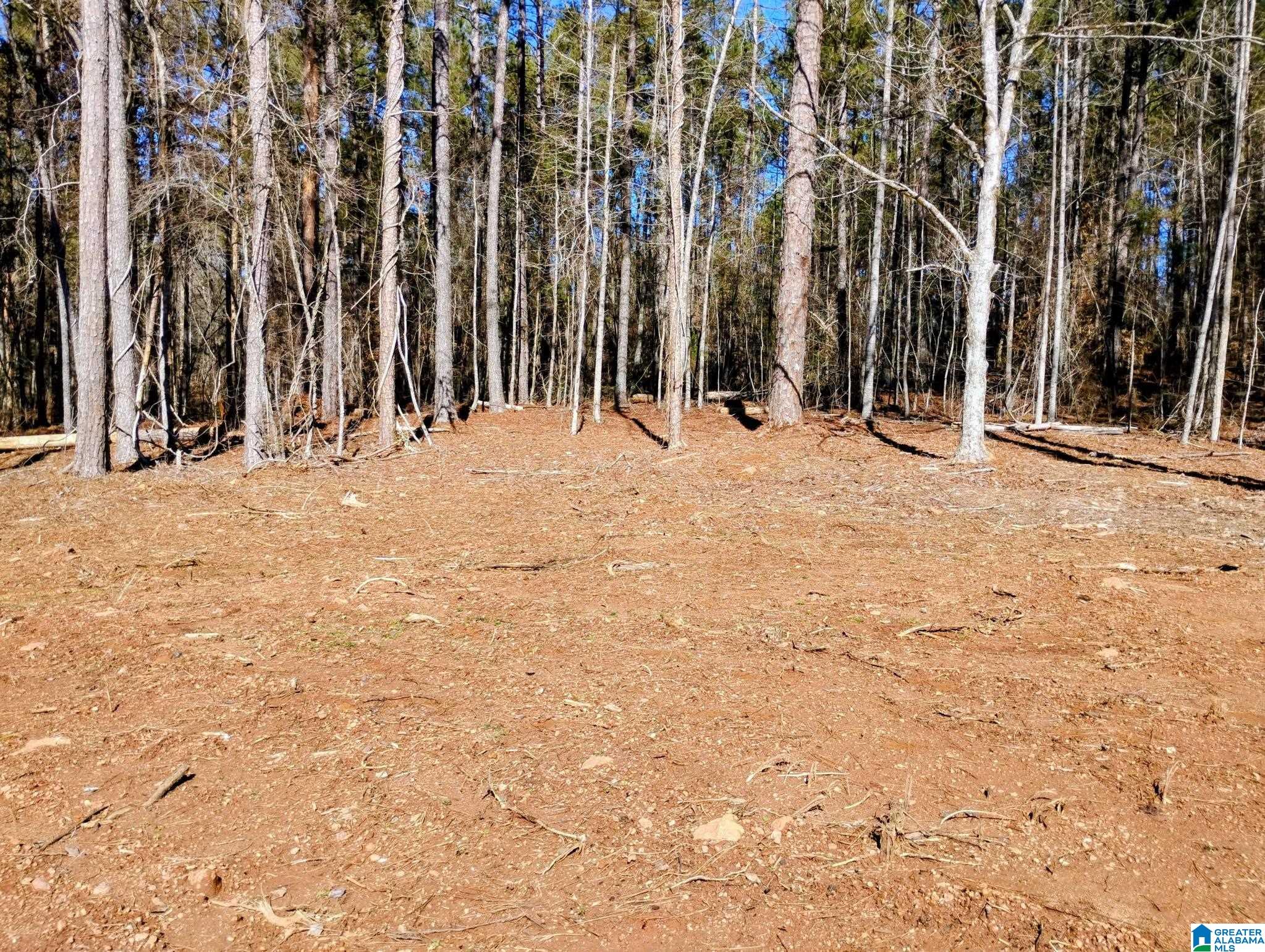 4th image of 534 Foster Cove Dr, Lineville, AL 36266 | MLS# 21445460