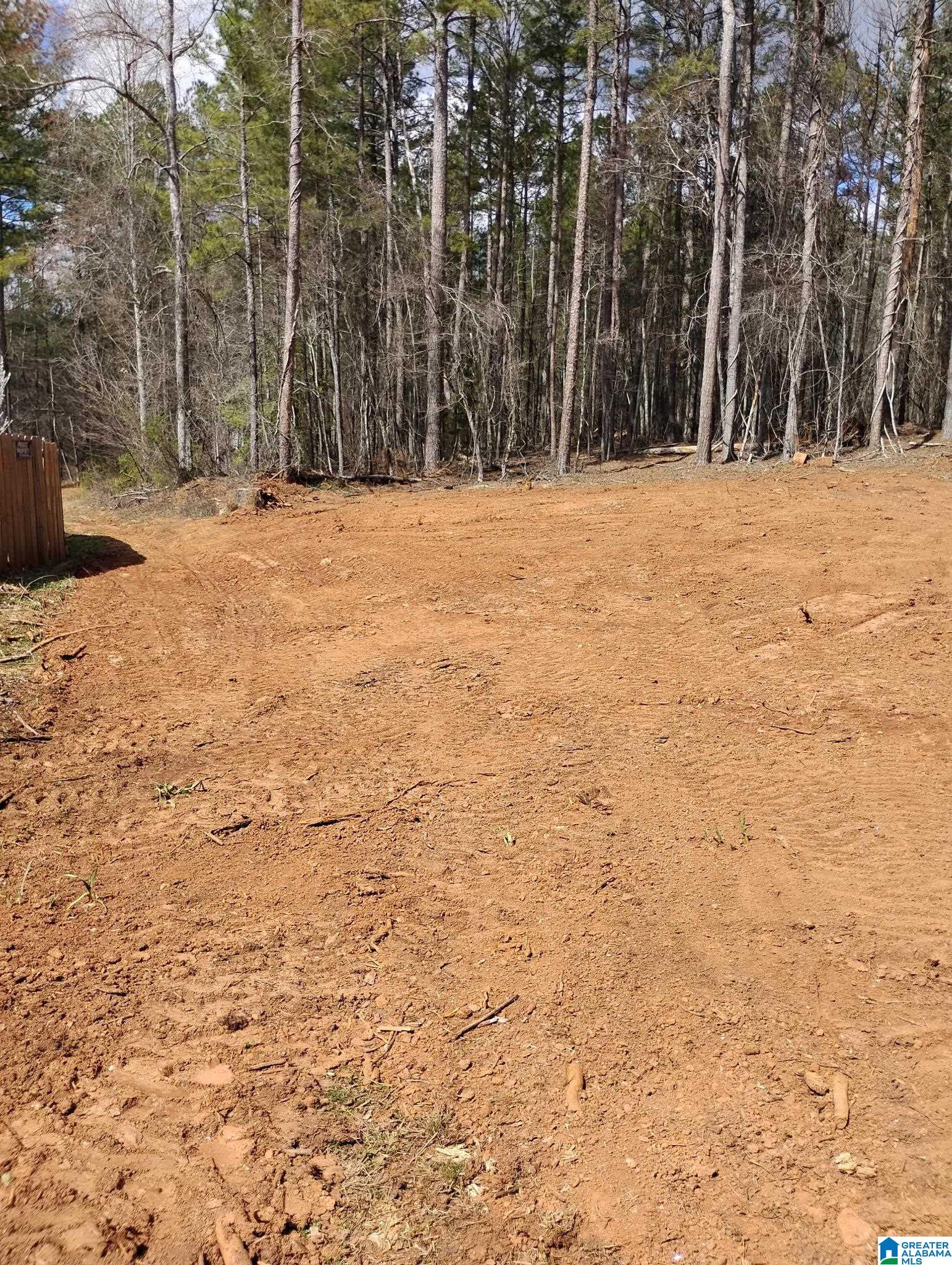 5th image of 534 Foster Cove Dr, Lineville, AL 36266 | MLS# 21445460