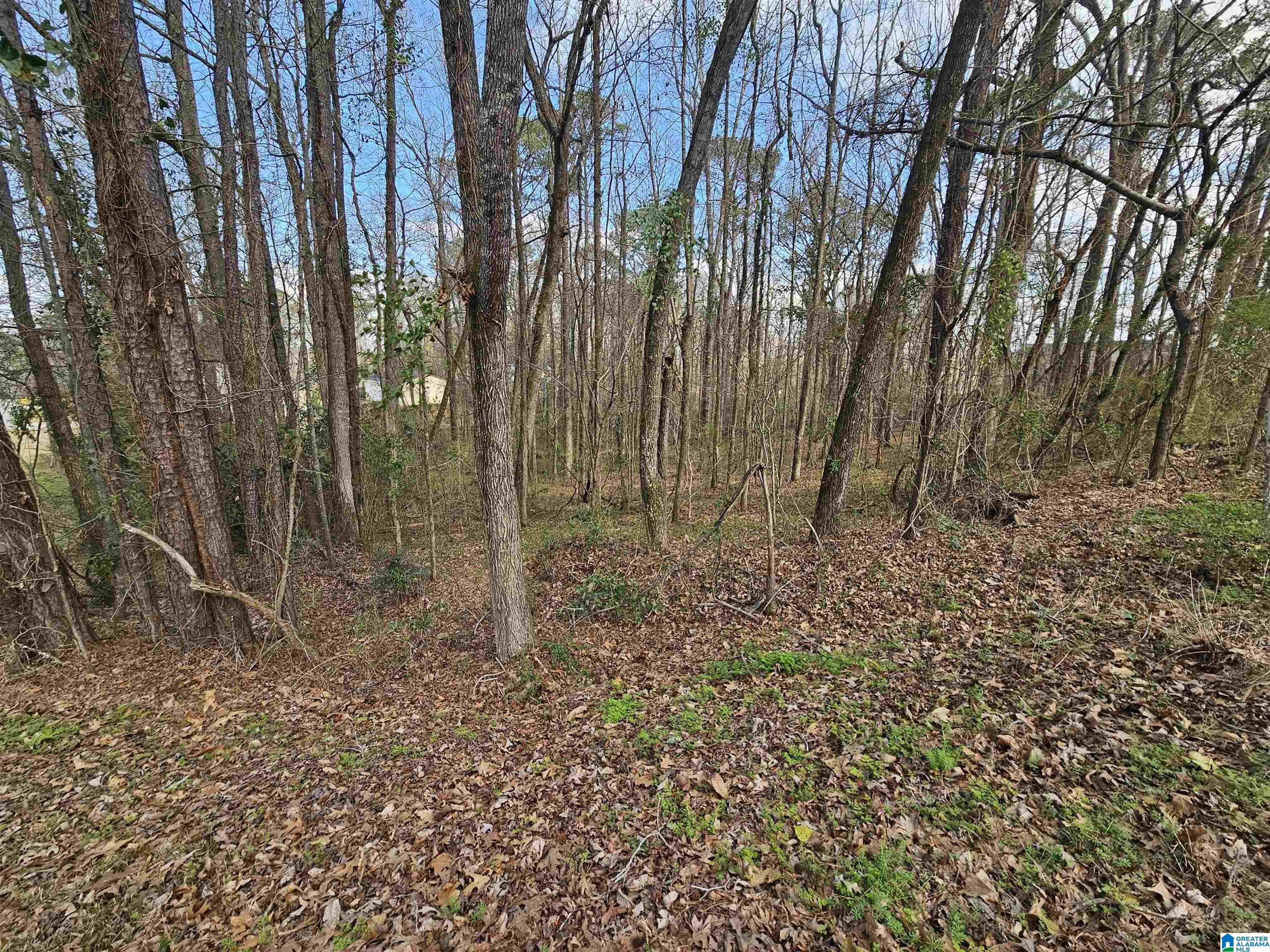 0 MOSS HILL LANE