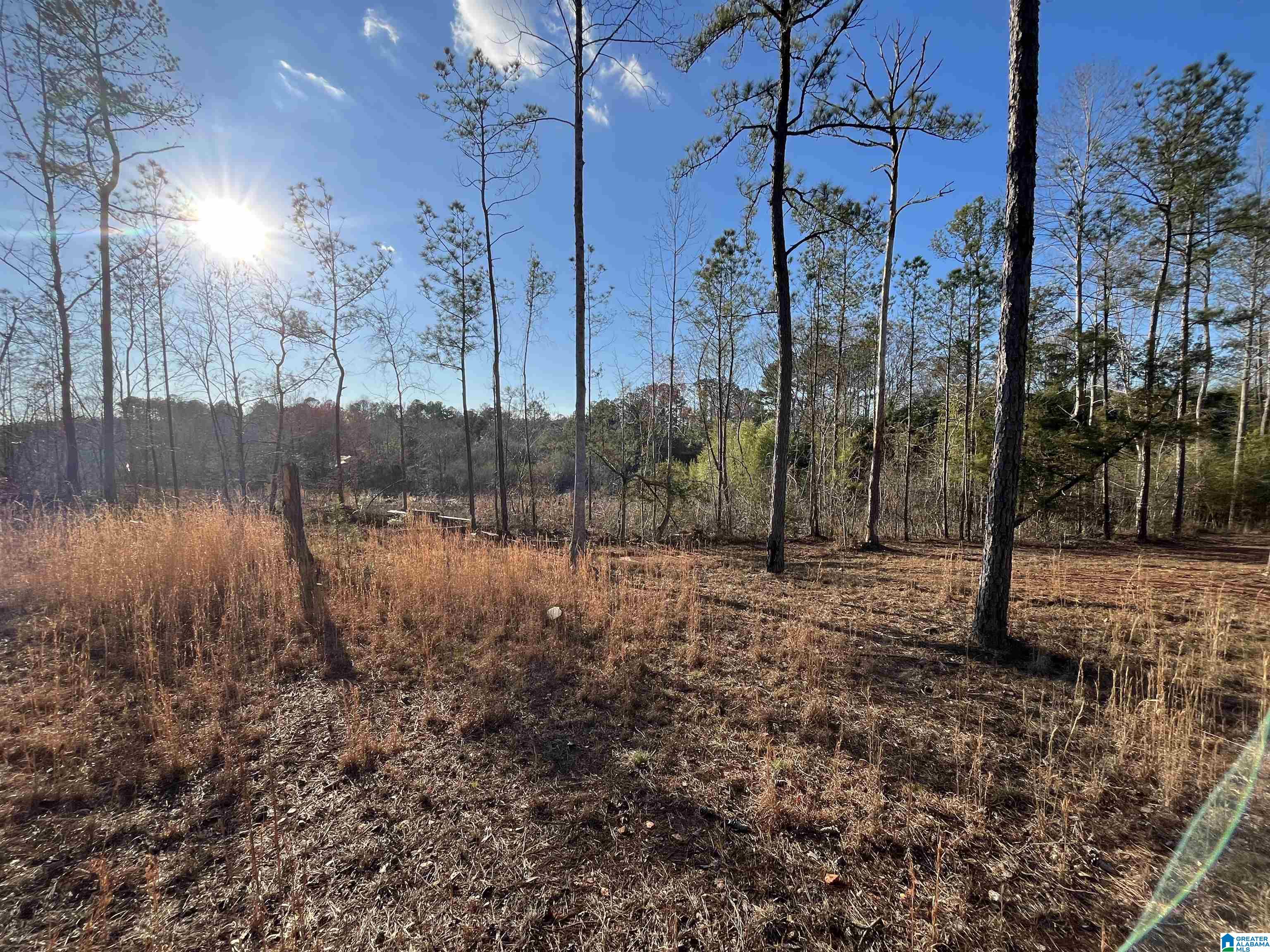 Homes for sale in Wadley, AL | 50864 Hwy 22, Wadley, AL 36276 | MLS# 21445472