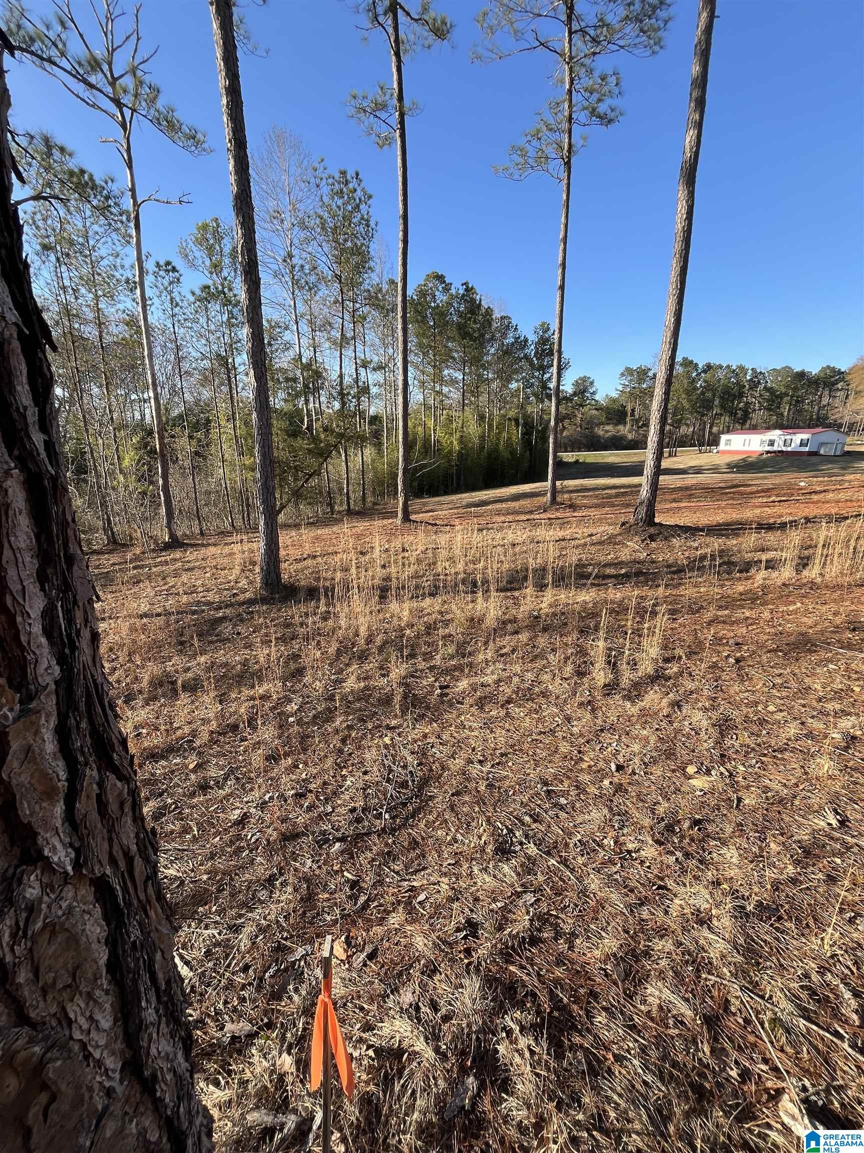 Homes for sale in Wadley, AL | 50864 Hwy 22, Wadley, AL 36276 | MLS# 21445472