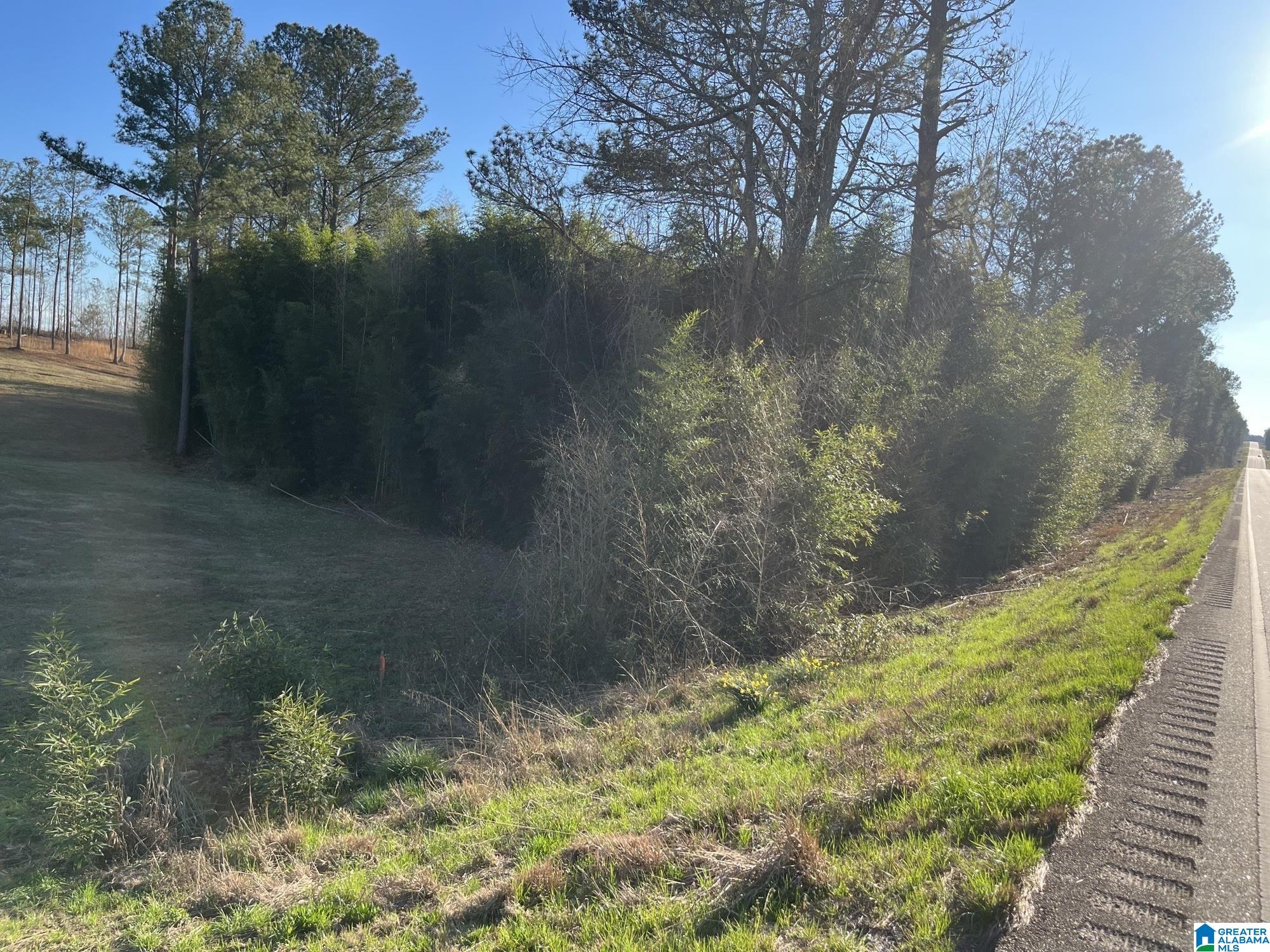 Homes for sale in Wadley, AL | 50864 Hwy 22, Wadley, AL 36276 | MLS# 21445472