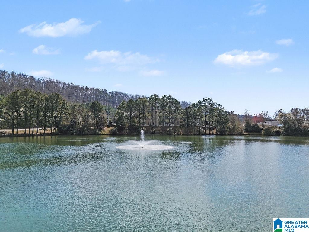 Homes for sale in Hoover, AL | 4528 Lake Valley Dr, Hoover, AL 35244 | MLS# 21445494