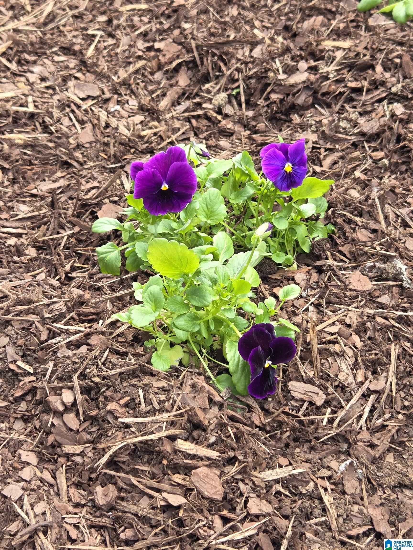 Homes for sale in Pinson, AL | 8011 Bradford Road, Pinson, AL 35126 | MLS# 21445498