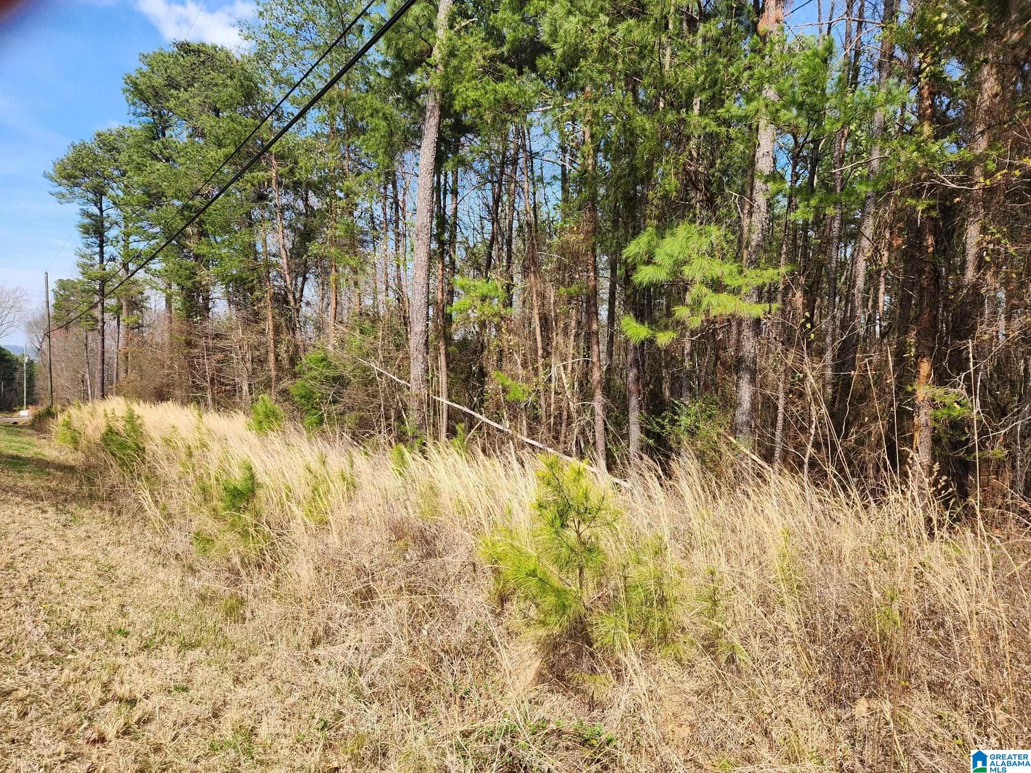 Homes for sale in Empire, AL | 0 Red Hill School Road, Empire, AL 35063 | MLS# 21445512