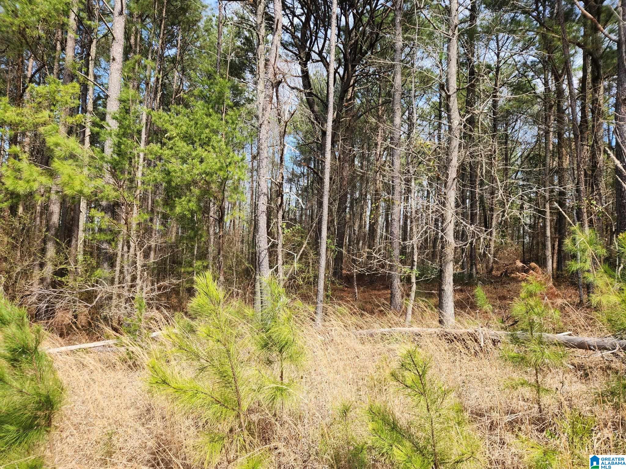 Homes for sale in Empire, AL | 0 Red Hill School Road, Empire, AL 35063 | MLS# 21445512