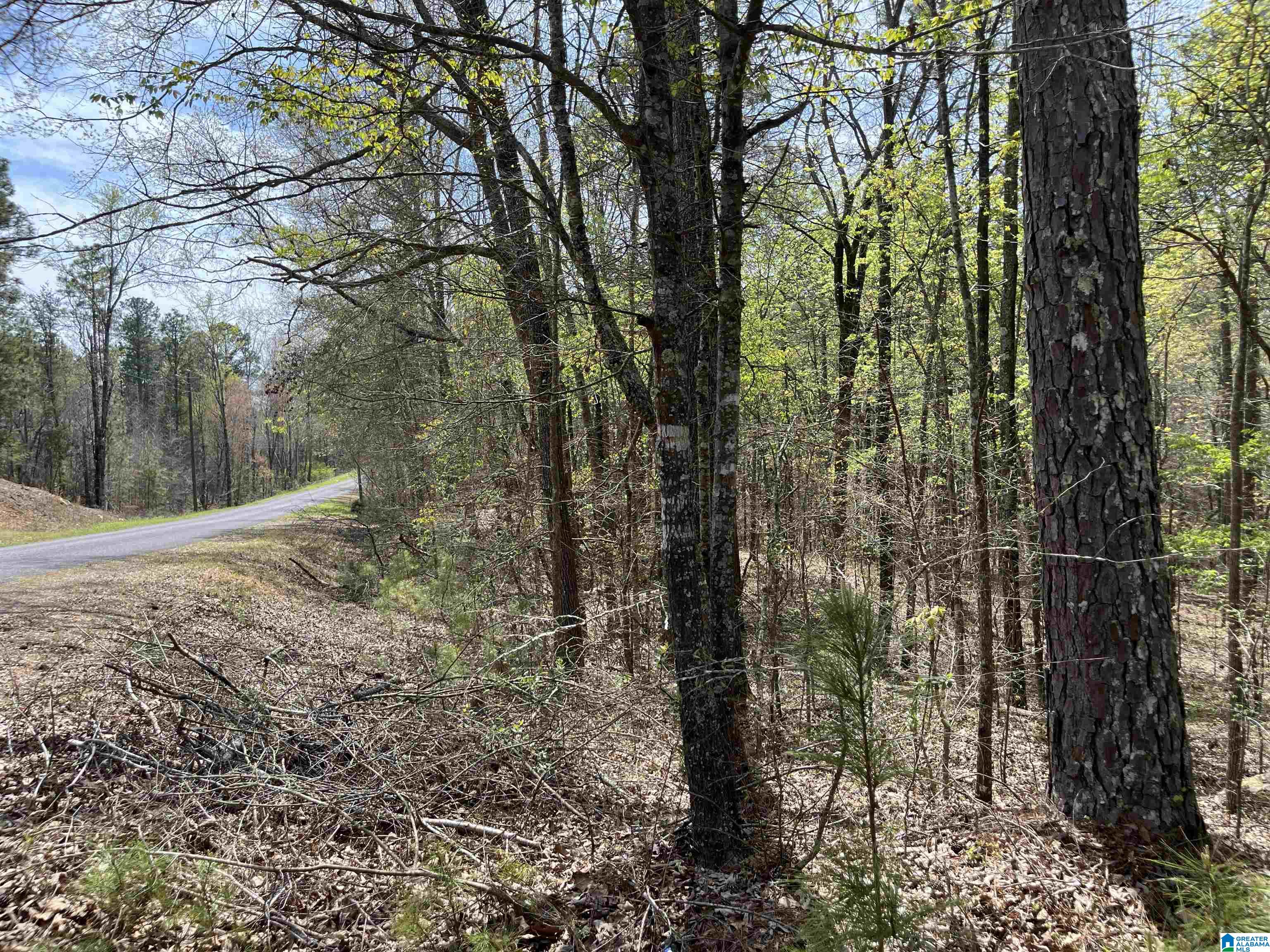 Homes for sale in County, AL | Saint Judes Lane, County, AL 35160 | MLS# 21445577
