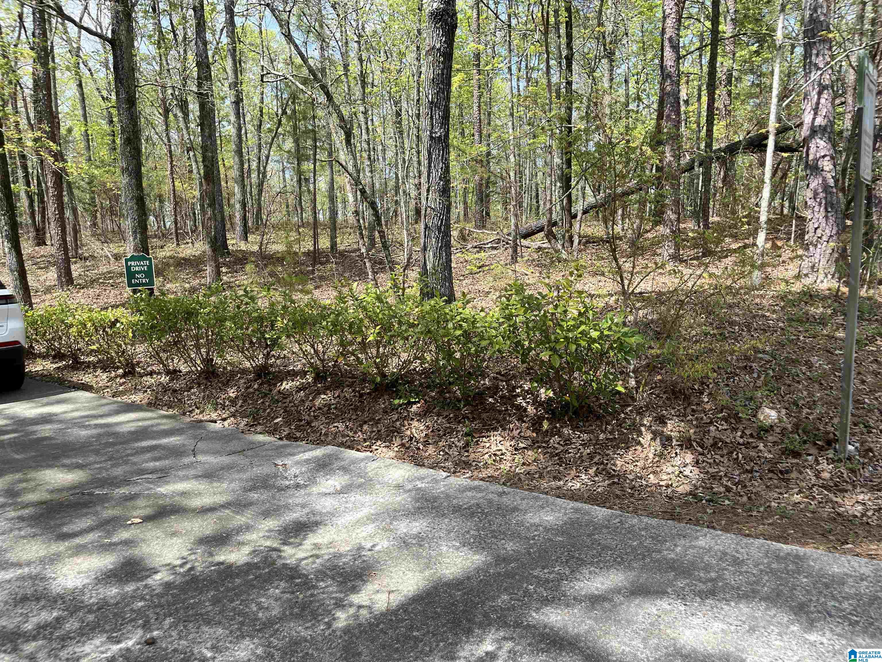 Homes for sale in County, AL | Saint Judes Lane, County, AL 35160 | MLS# 21445577