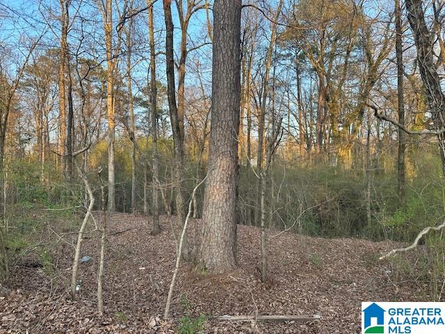 Homes for sale in Jasper, AL | 9 Airport Road S, Jasper, AL 35501 | MLS# 21445583