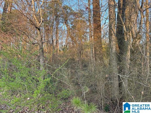 Homes for sale in Jasper, AL | 9 Airport Road S, Jasper, AL 35501 | MLS# 21445583