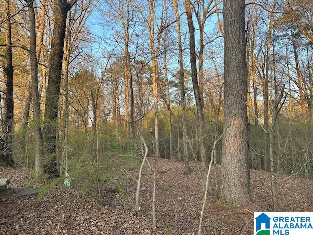 Homes for sale in Jasper, AL | 9 Airport Road S, Jasper, AL 35501 | MLS# 21445583