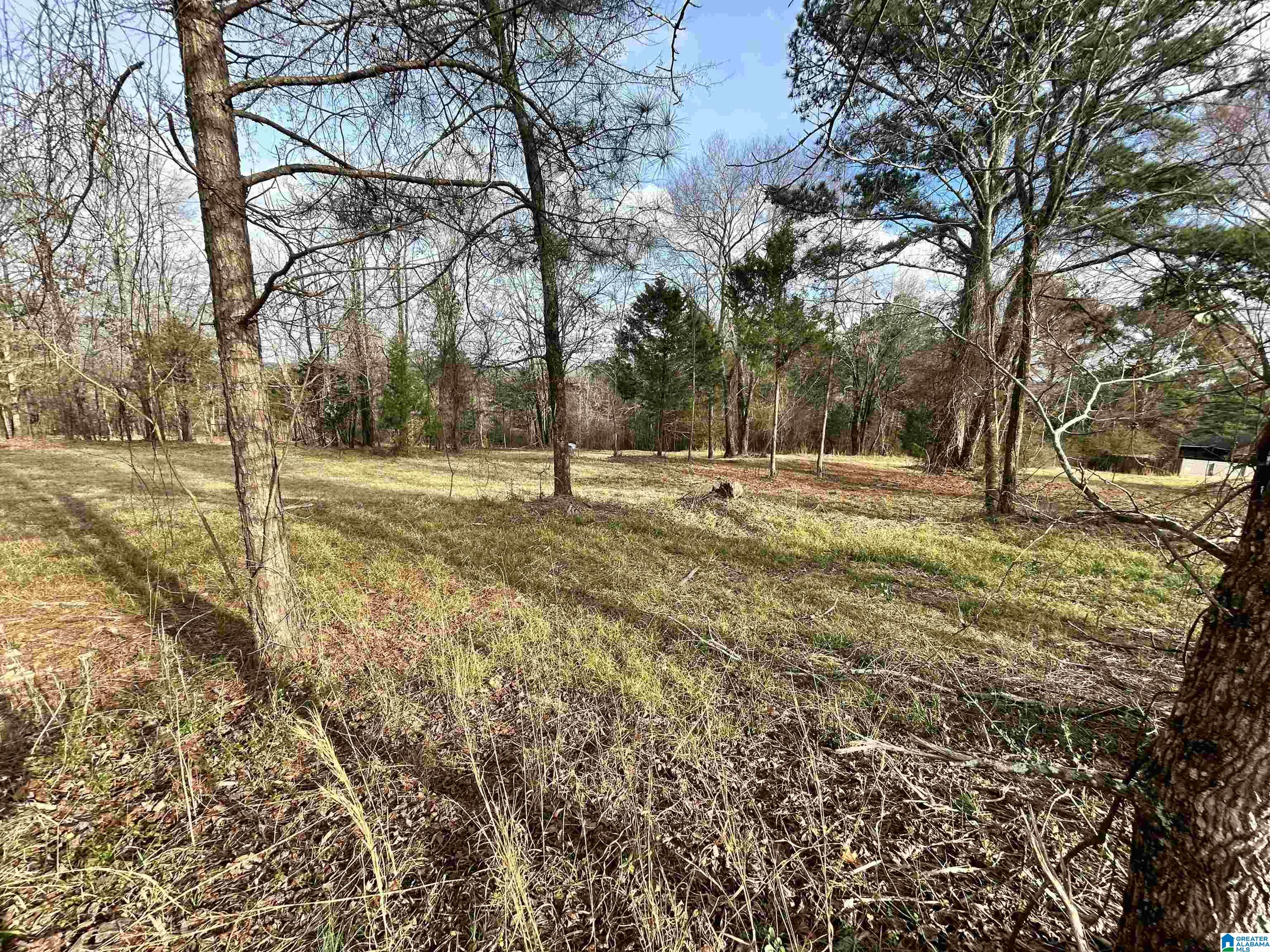 Homes for sale in Trussville, AL | 1332 Blackjack Road, Trussville, AL 35173 | MLS# 21445666