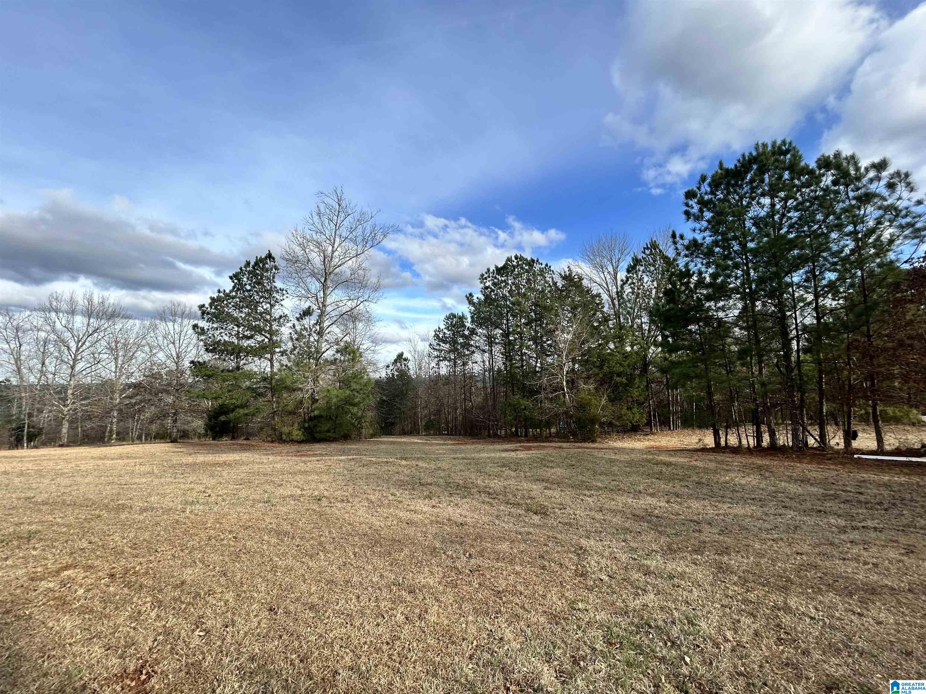 Homes for sale in Trussville, AL | 1332 Blackjack Road, Trussville, AL 35173 | MLS# 21445666