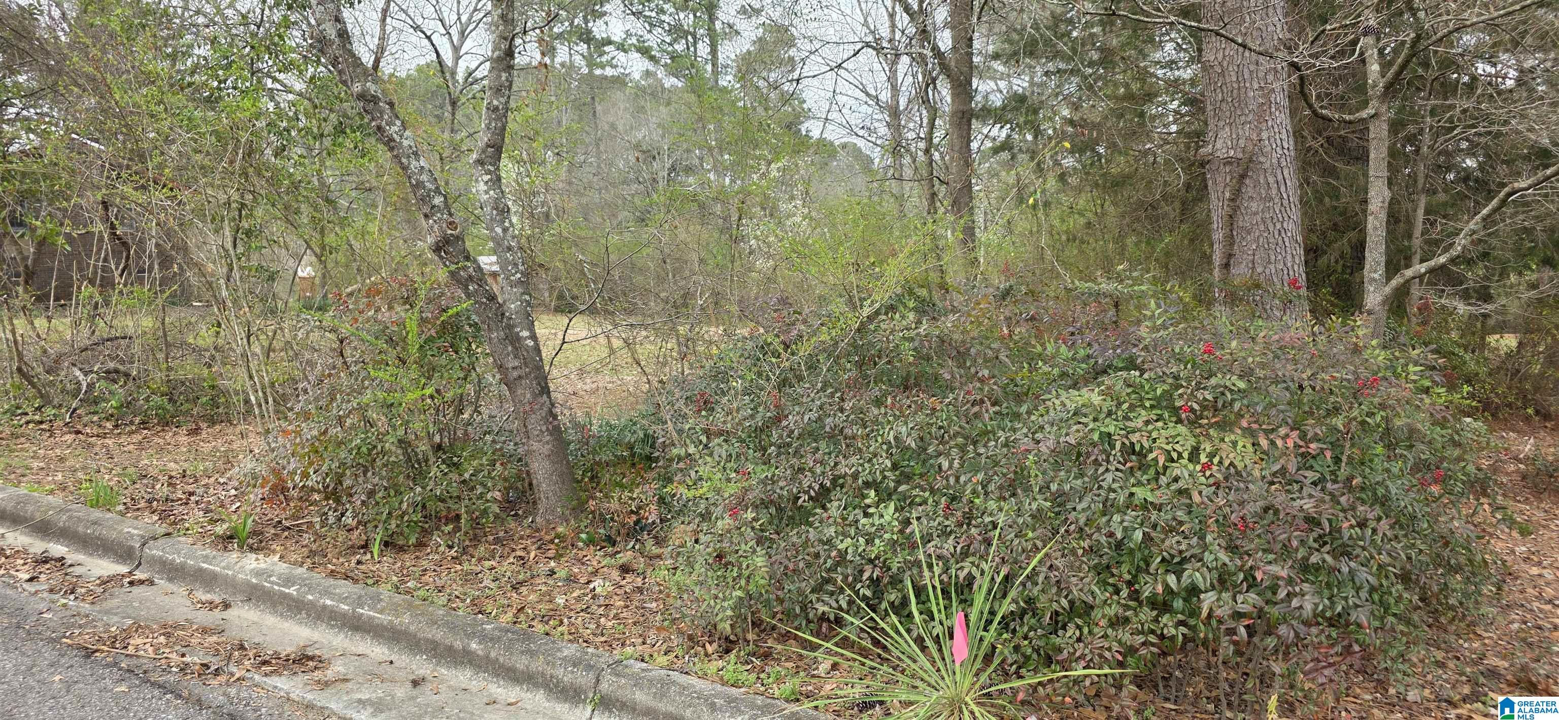 Homes for sale in Cullman, AL | Lot 7B Goehler Road, Cullman, AL 35055 | MLS# 21445691