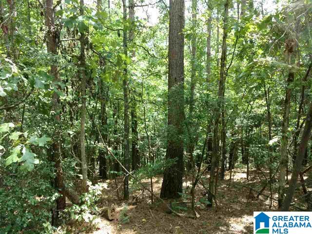 Homes for sale in Wedowee, AL | Lakeview Terrace, Wedowee, AL 36278 | MLS# 21445726