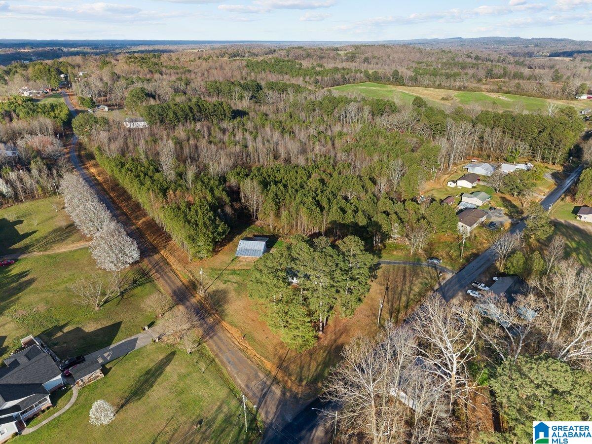 Homes for sale in Oneonta, AL | 407 Wilson Chapel Road, Oneonta, AL 35121 | MLS# 21445771