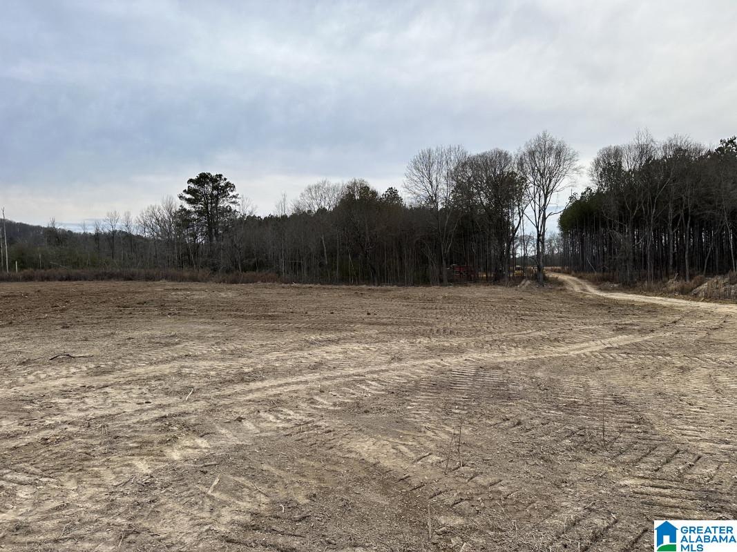 Homes for sale in Hokes Bluff, AL | 3712 Beasley Road, Hokes Bluff, AL 35903 | MLS# 21445854