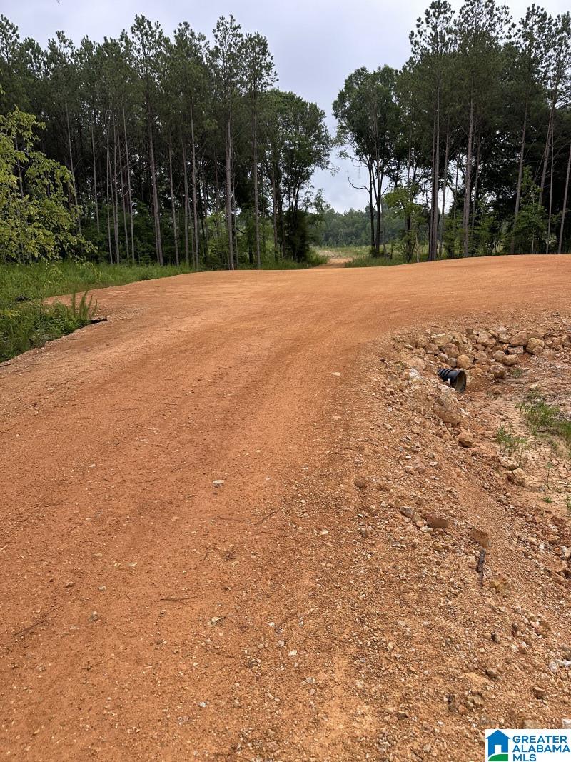 Homes for sale in Hokes Bluff, AL | 3712 Beasley Road, Hokes Bluff, AL 35903 | MLS# 21445854