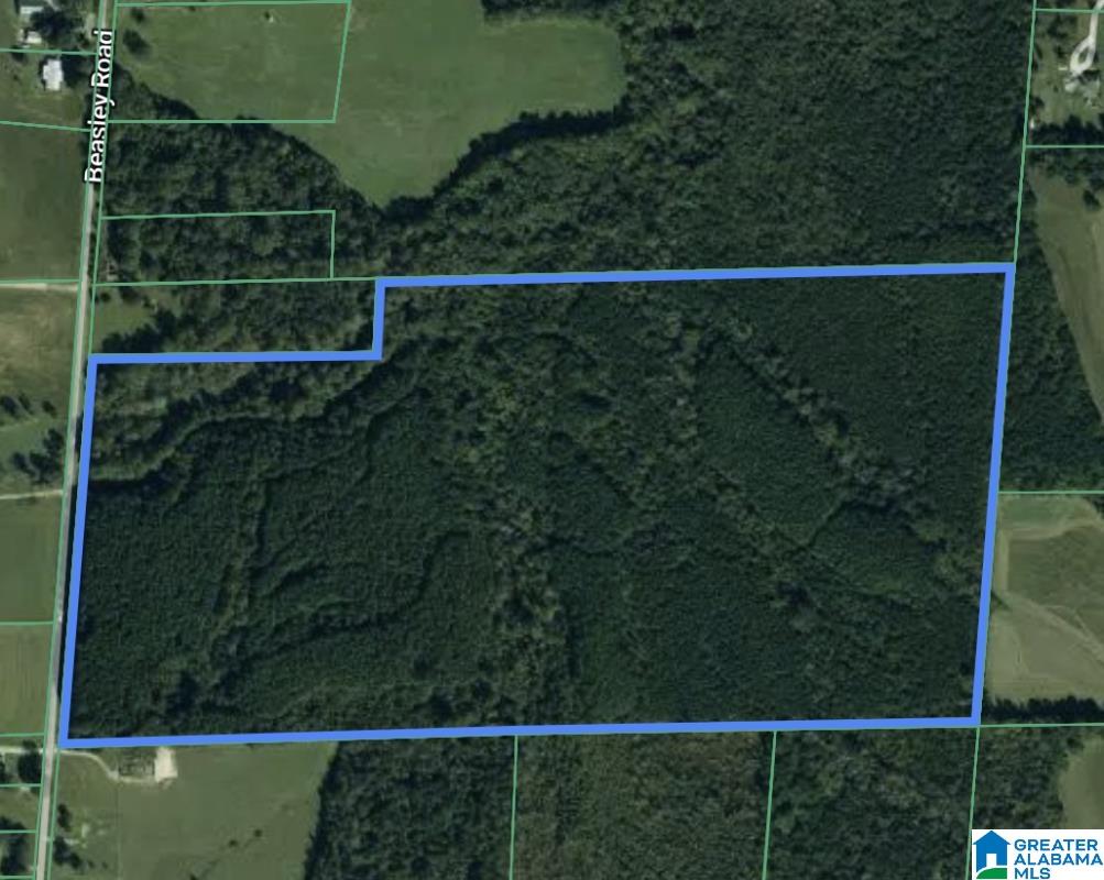 Homes for sale in Hokes Bluff, AL | 3712 Beasley Road, Hokes Bluff, AL 35903 | MLS# 21445854