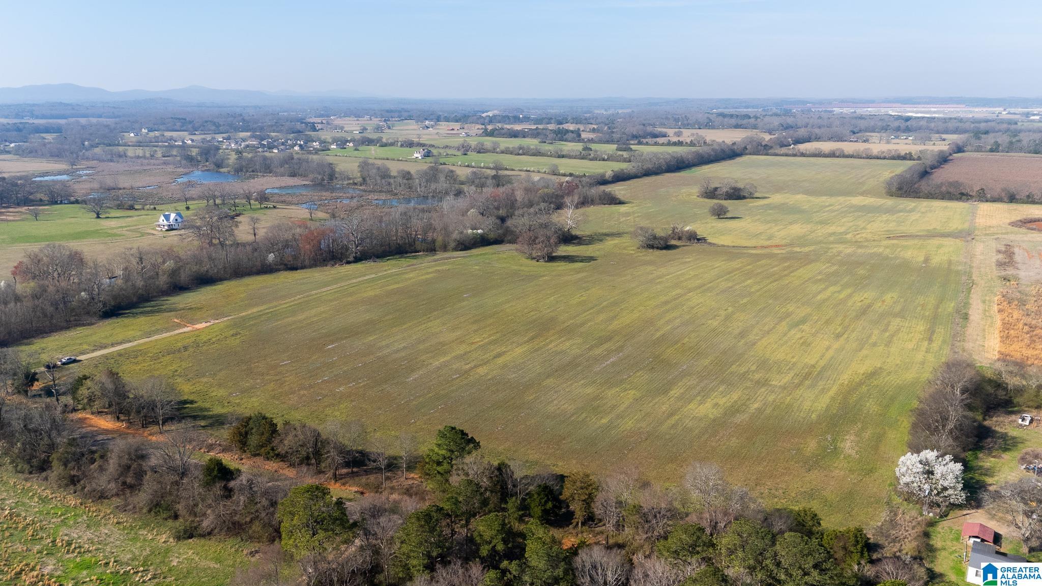 Homes for sale in Eastaboga, AL | 0 Curry Station Road, Eastaboga, AL 36260 | MLS# 21445865