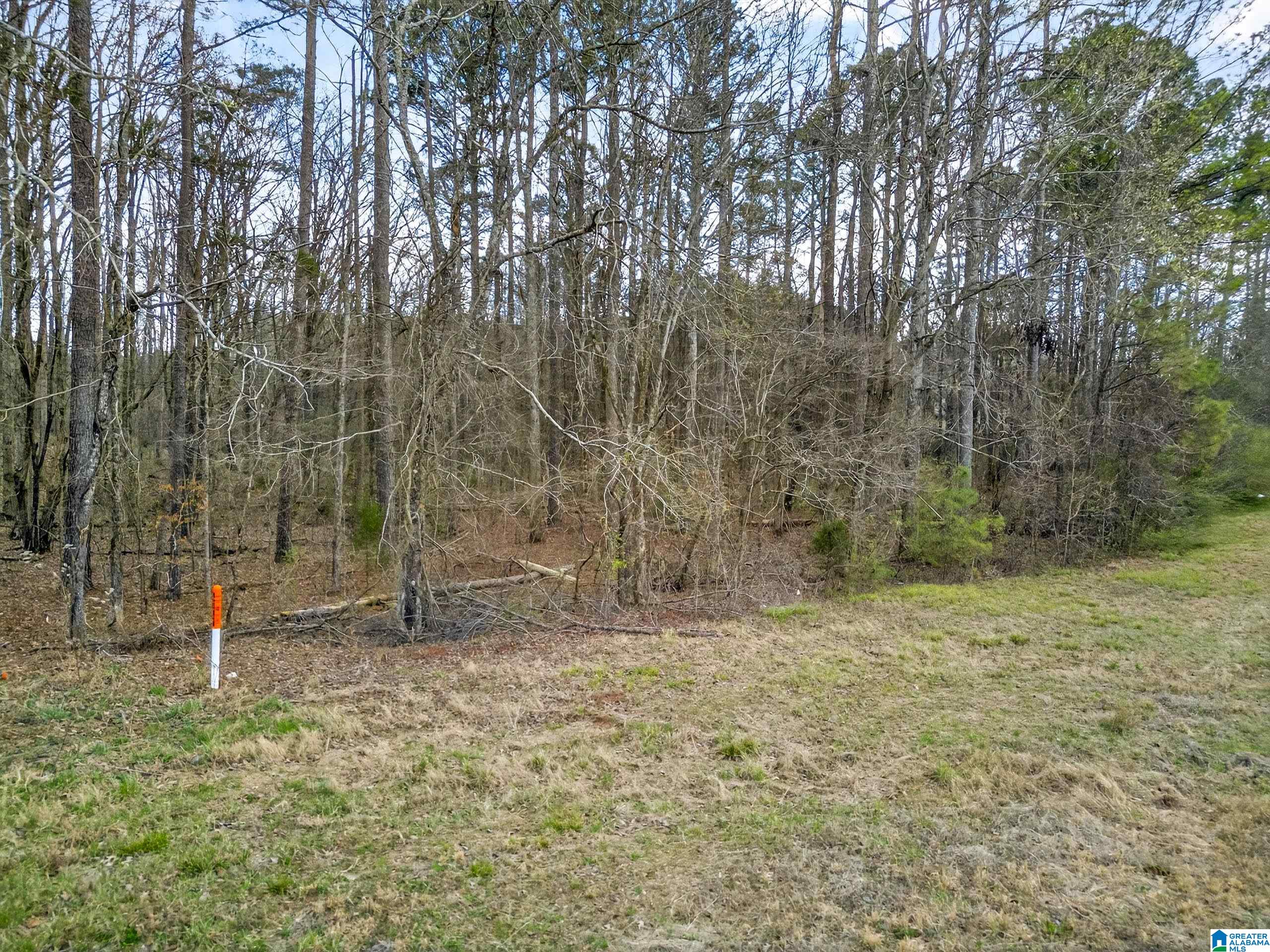 Homes for sale in Jacksonville, AL | 0 Alabama Hwy 21, Jacksonville, AL 36265 | MLS# 21445875