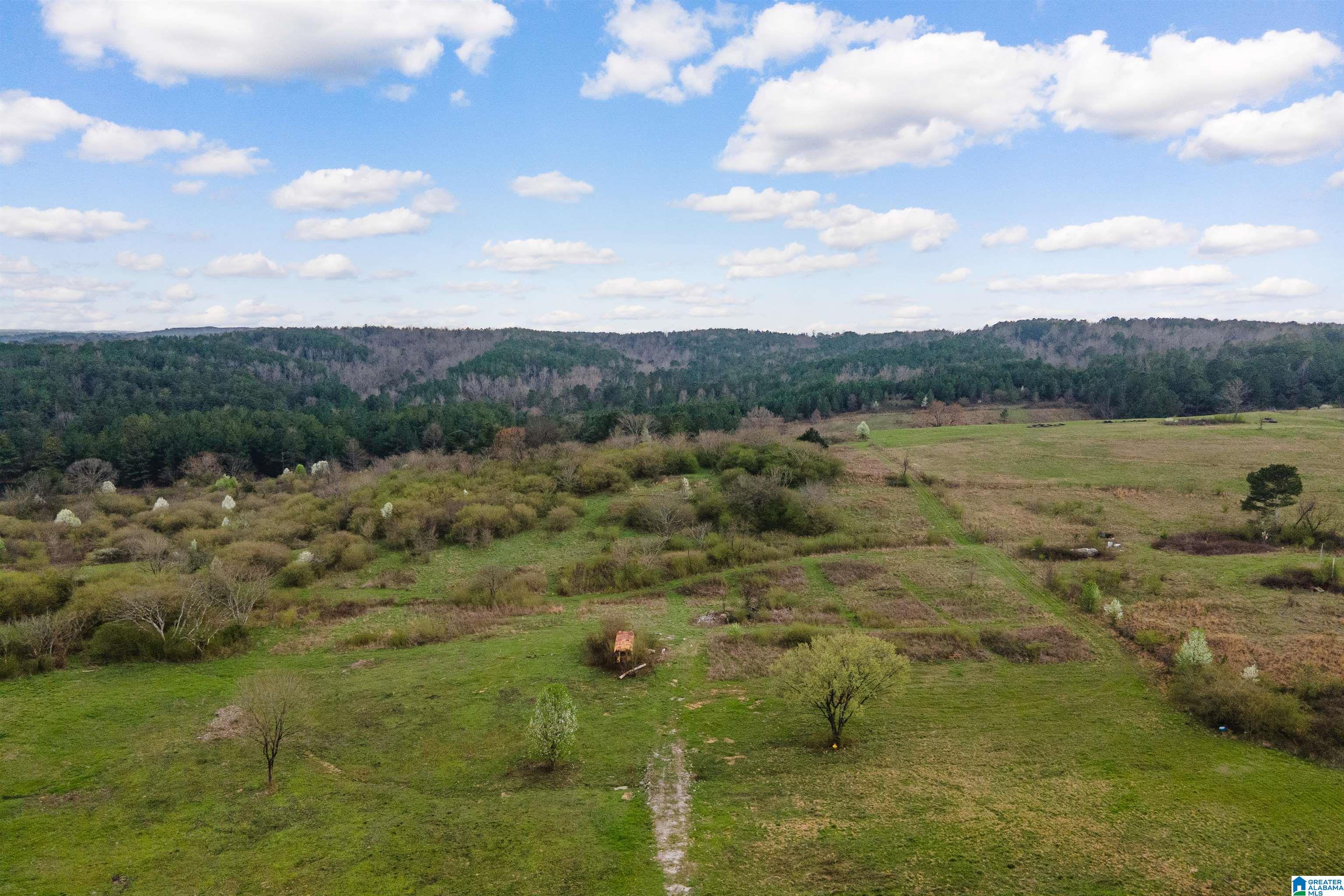 Homes for sale in Gardendale, AL | 700 Sardis Road, Gardendale, AL 35071 | MLS# 21445887