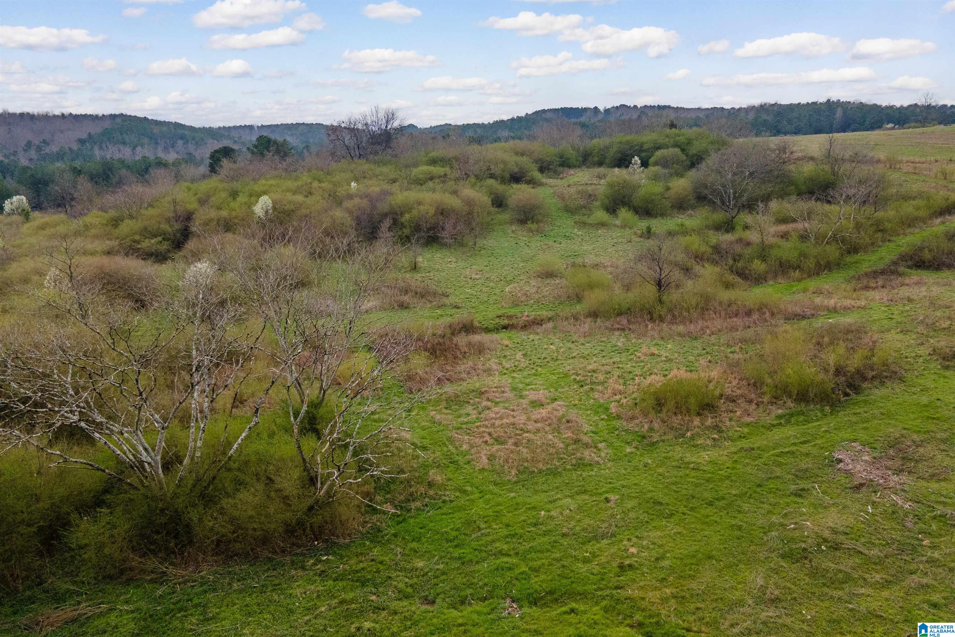 Homes for sale in Gardendale, AL | 700 Sardis Road, Gardendale, AL 35071 | MLS# 21445887