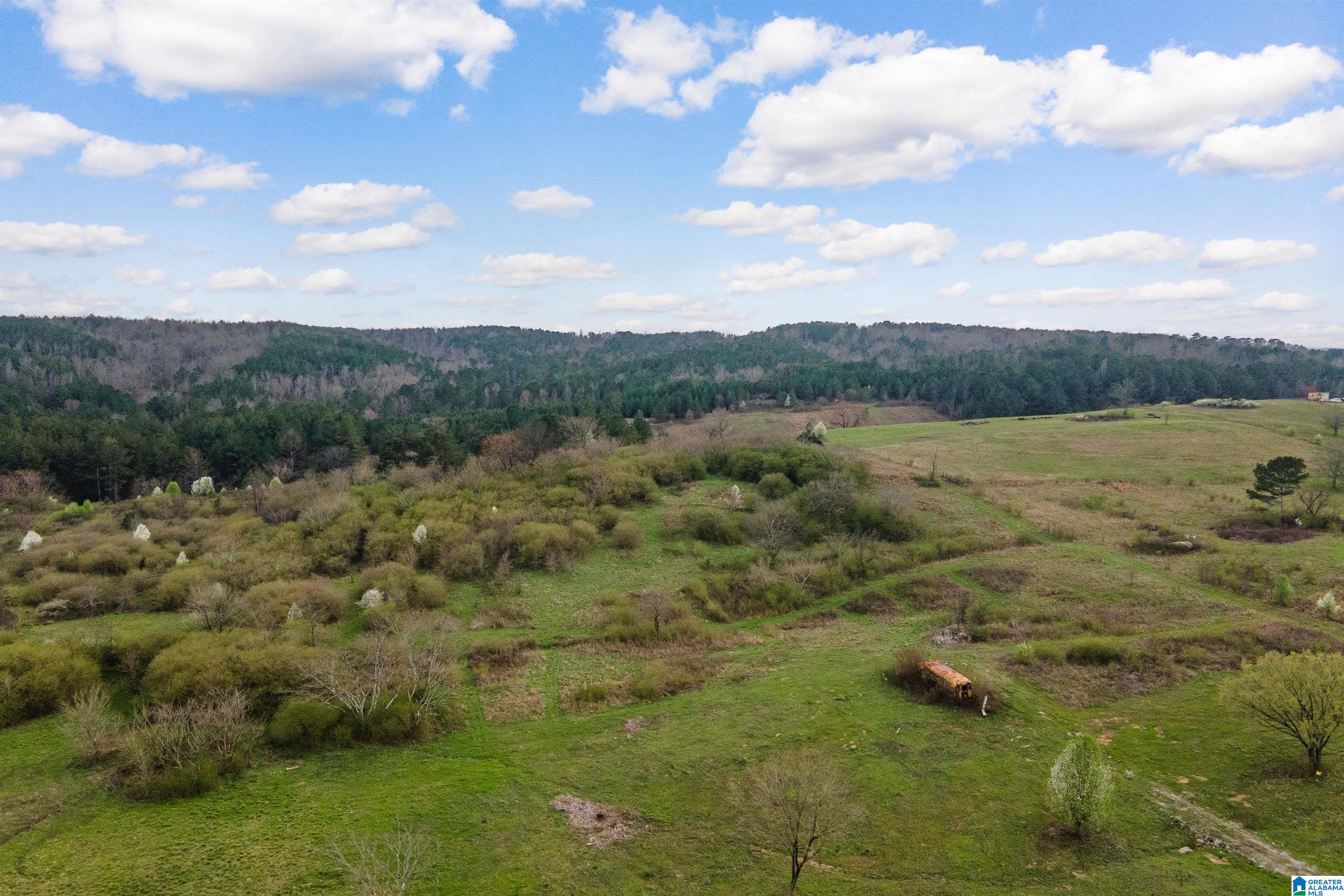 Homes for sale in Gardendale, AL | 700 Sardis Road, Gardendale, AL 35071 | MLS# 21445887