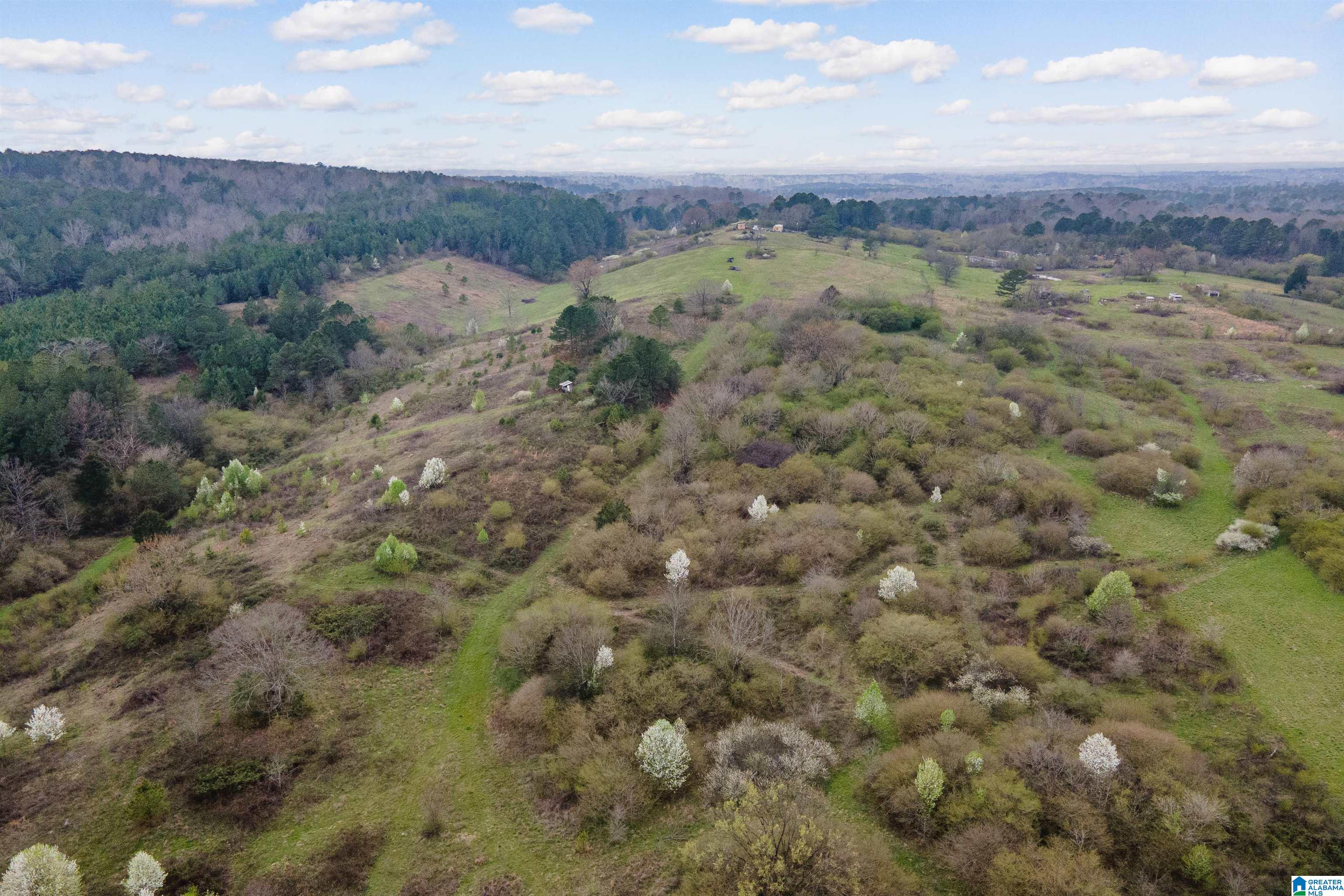 Homes for sale in Gardendale, AL | 700 Sardis Road, Gardendale, AL 35071 | MLS# 21445887