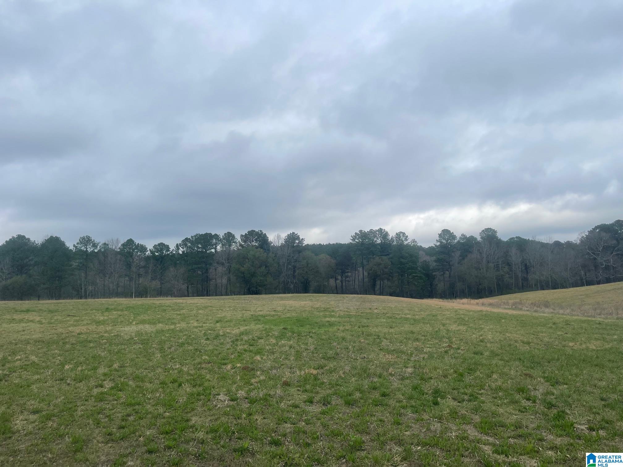 Homes for sale in Jasper, AL | Bluegrass Lane, Jasper, AL 35503 | MLS# 21445947