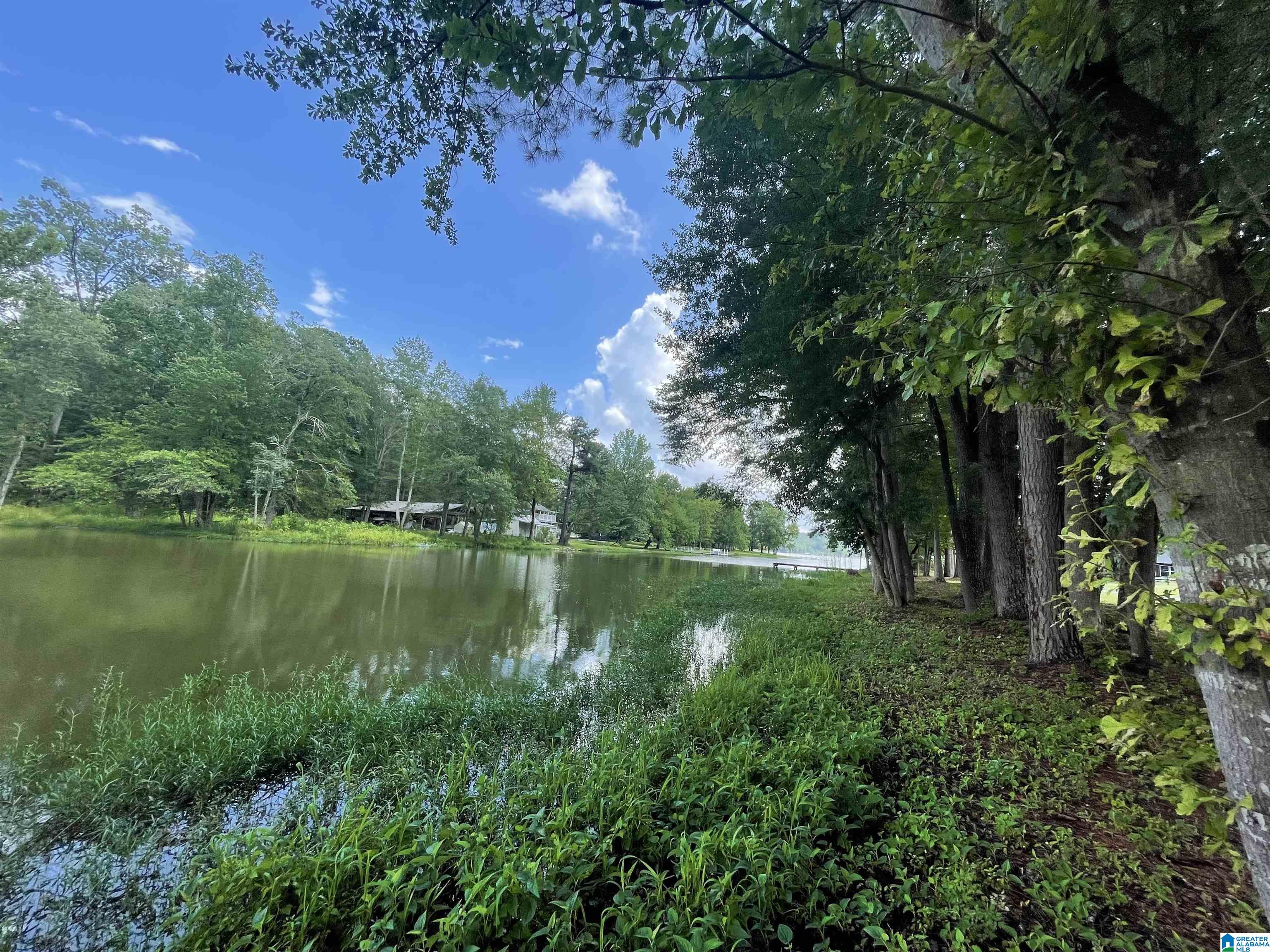 Homes for sale in Rainbow City, AL | 000 Hiawatha Pl, Rainbow City, AL 35906 | MLS# 21445967