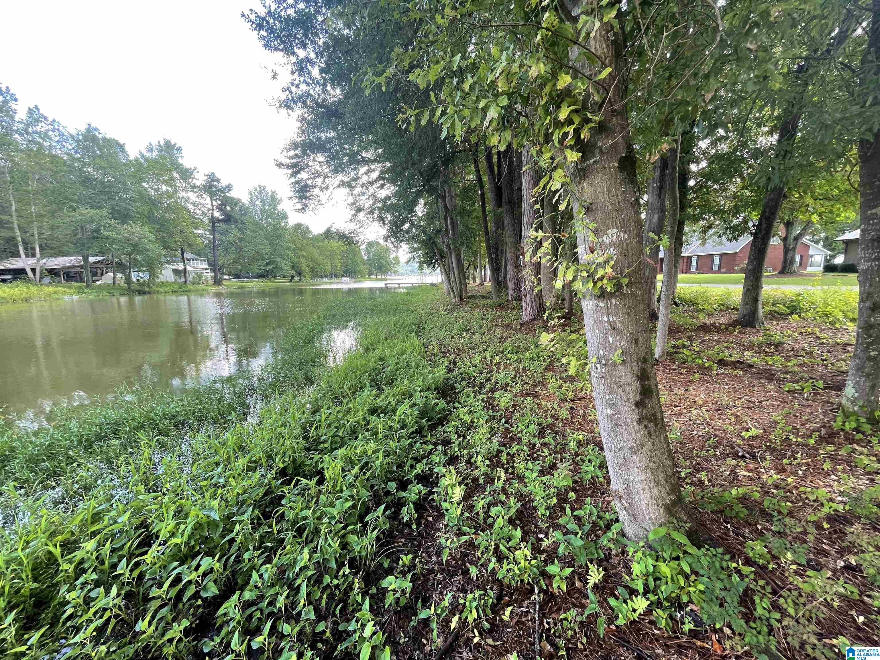 Homes for sale in Rainbow City, AL | 000 Hiawatha Pl, Rainbow City, AL 35906 | MLS# 21445967