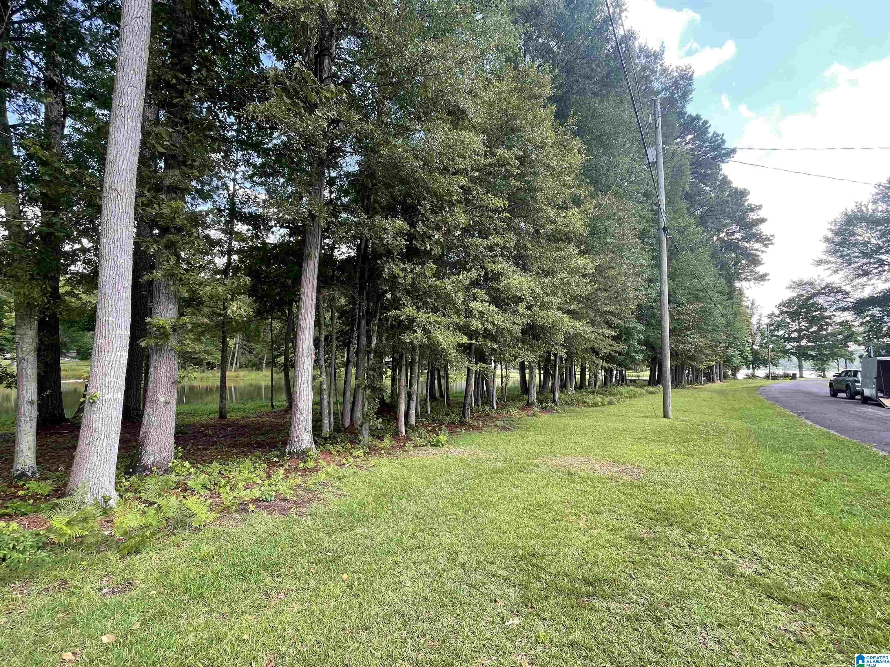 Homes for sale in Rainbow City, AL | 000 Hiawatha Pl, Rainbow City, AL 35906 | MLS# 21445967