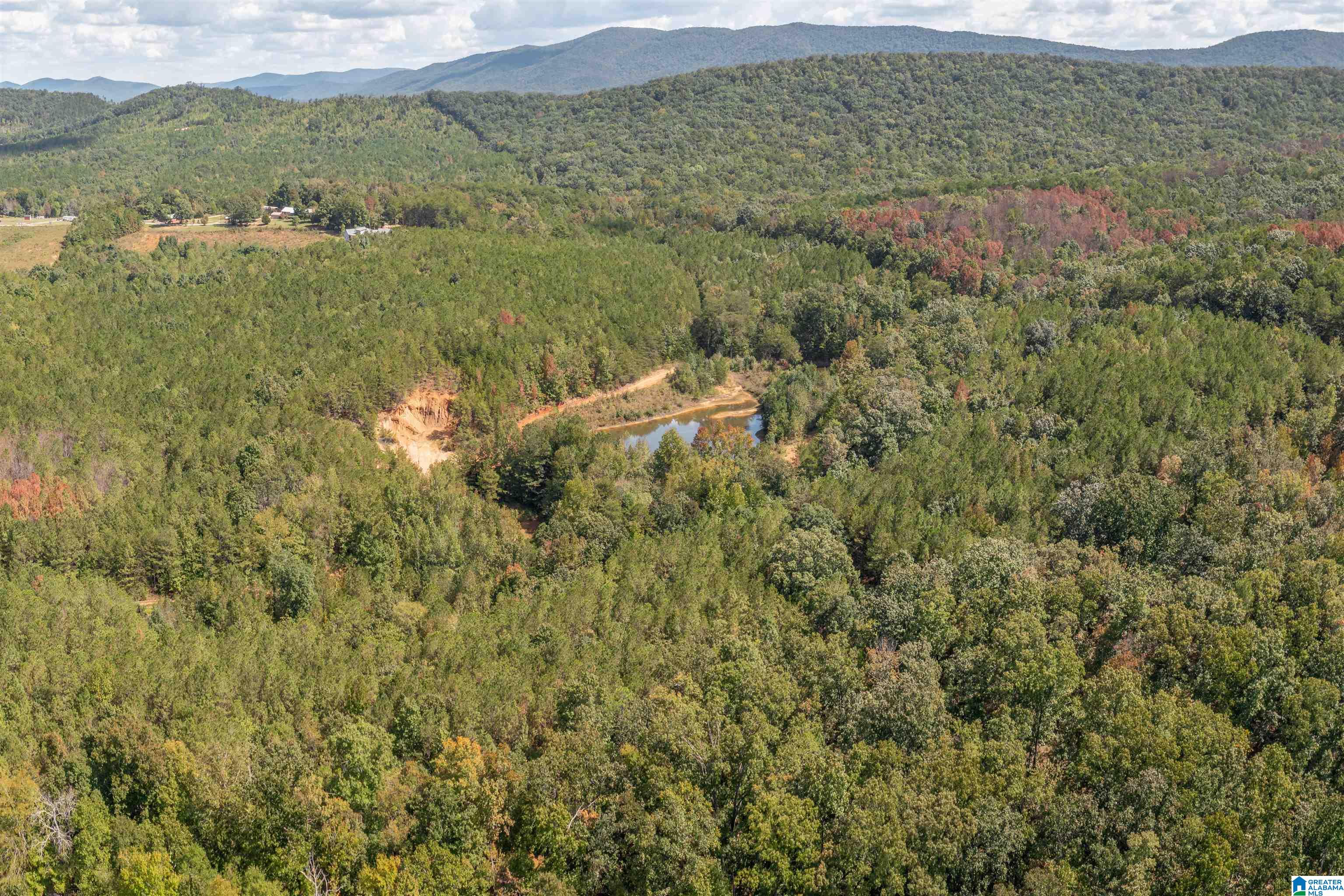 Homes for sale in Piedmont, AL | 369 Acres Forest Edge Lane, Piedmont, AL 36272 | MLS# 21445980