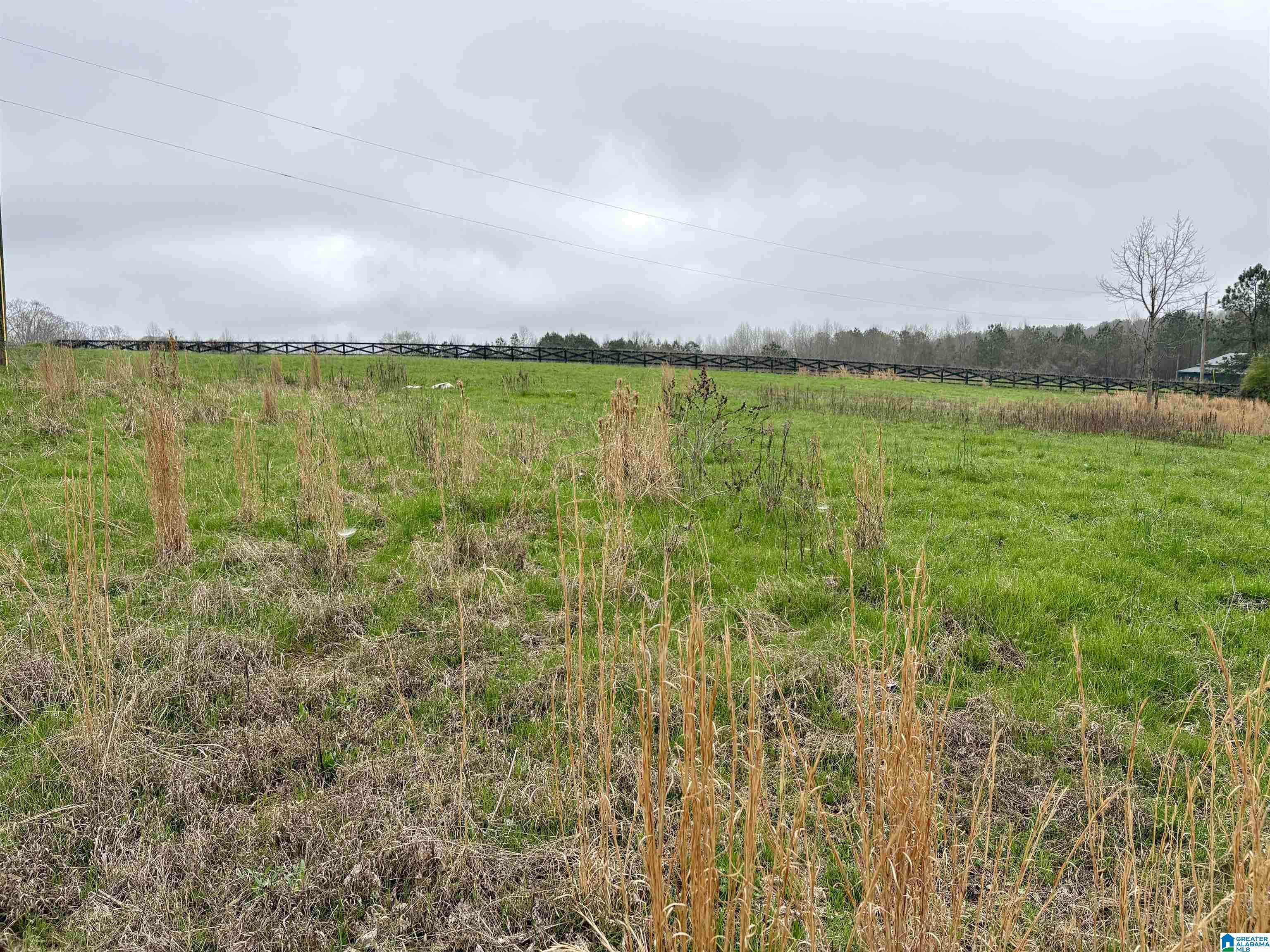 Homes for sale in Ranburne, AL | 0 County Road 670, Ranburne, AL 36273 | MLS# 21445985