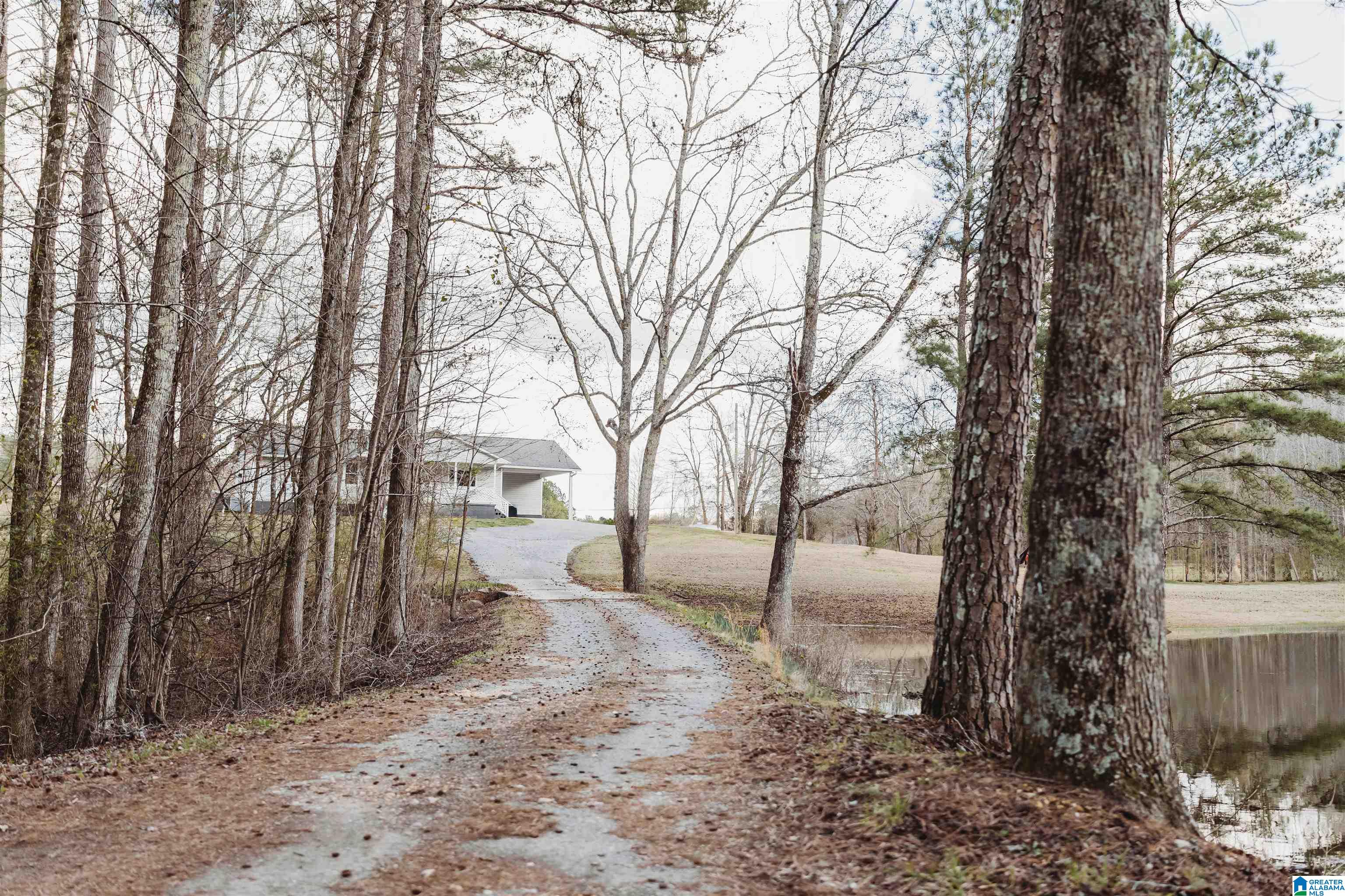 Homes for sale in Oneonta, AL | 149 County Hwy 29, Oneonta, AL 35121 | MLS# 21446033