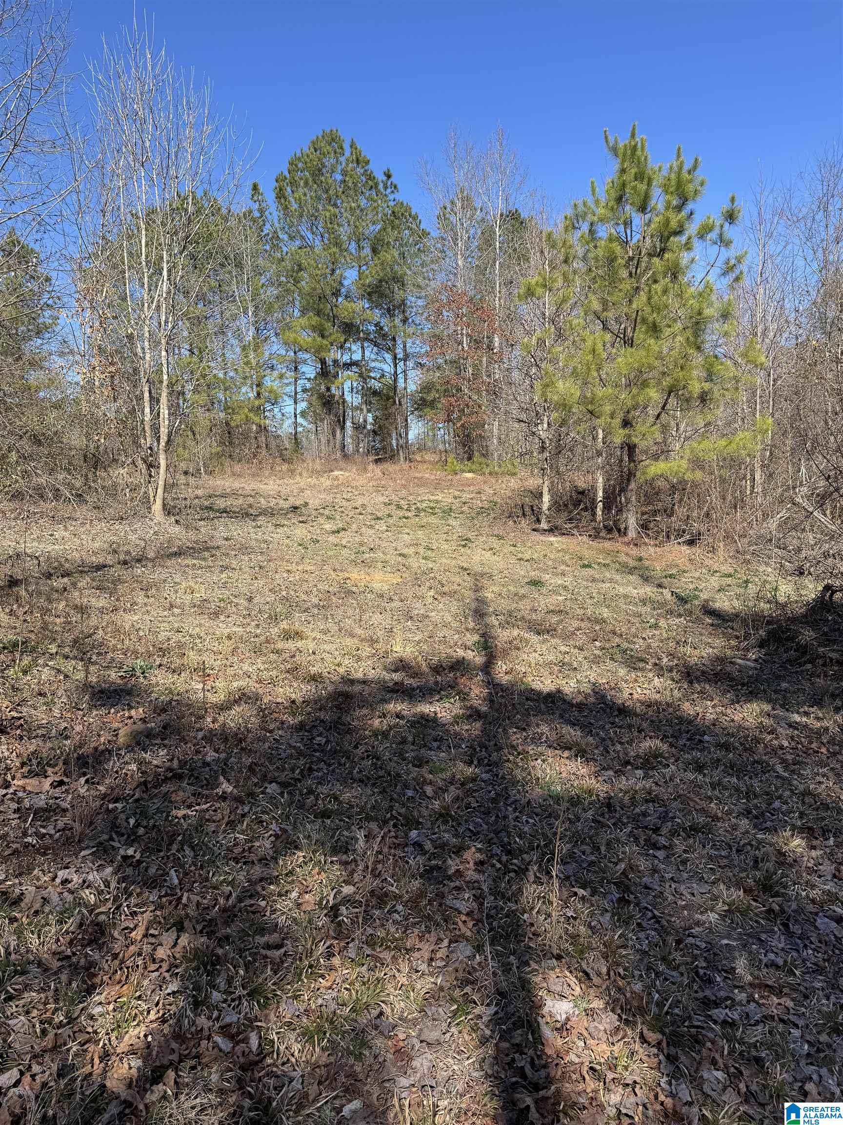 Homes for sale in Brookwood, AL | 19075 Westside Road, Brookwood, AL 35444 | MLS# 21446034