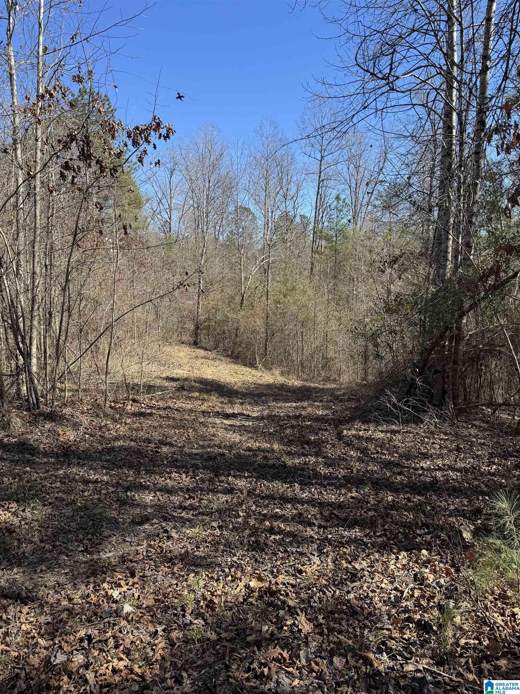 Homes for sale in Brookwood, AL | 19075 Westside Road, Brookwood, AL 35444 | MLS# 21446034