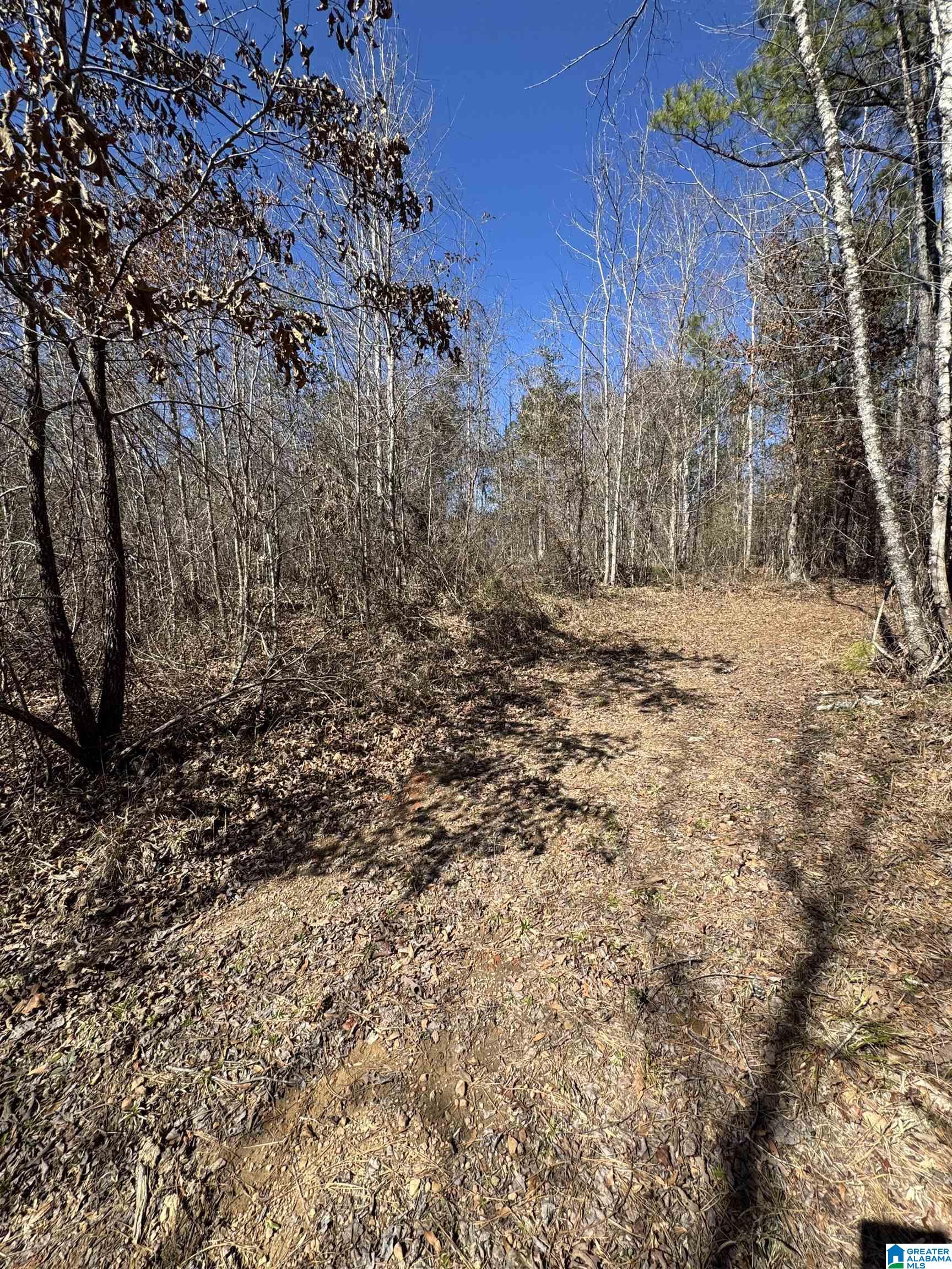 Homes for sale in Brookwood, AL | 19075 Westside Road, Brookwood, AL 35444 | MLS# 21446034