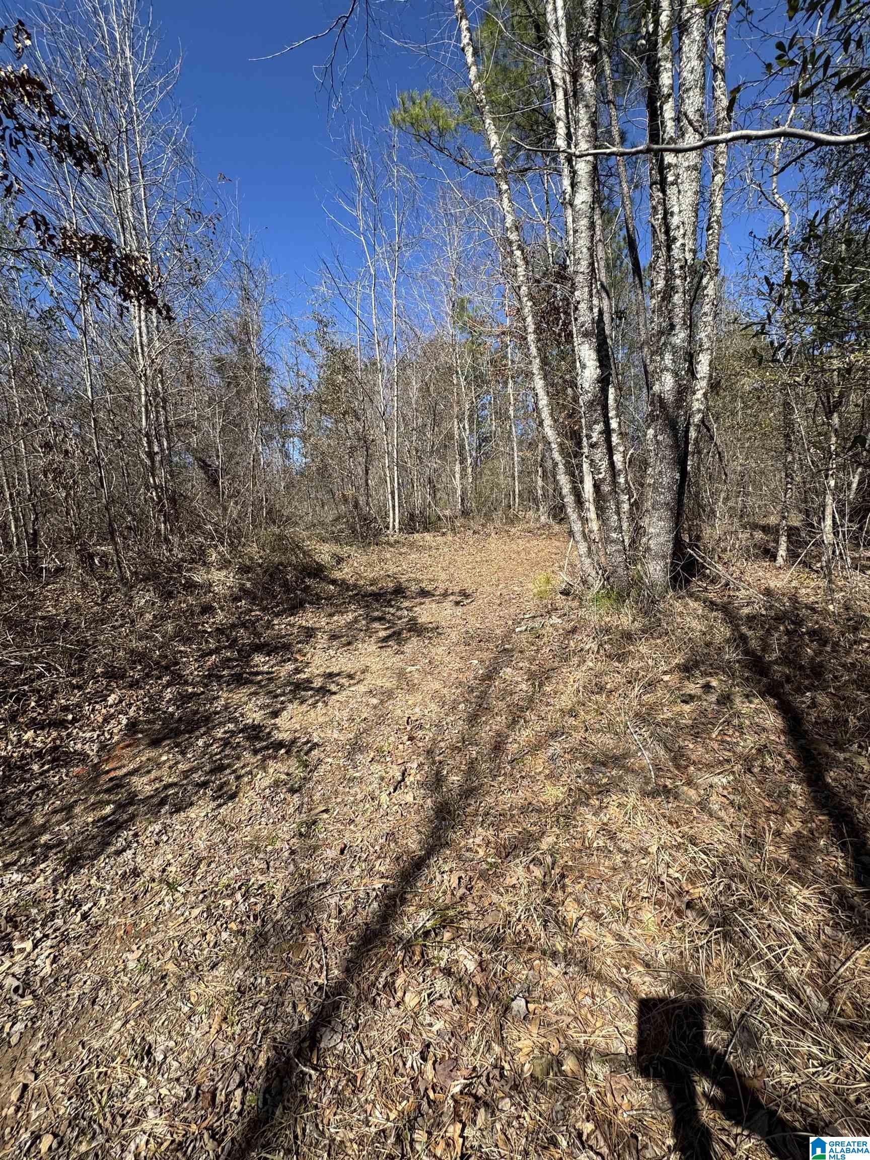 Homes for sale in Brookwood, AL | 19075 Westside Road, Brookwood, AL 35444 | MLS# 21446034