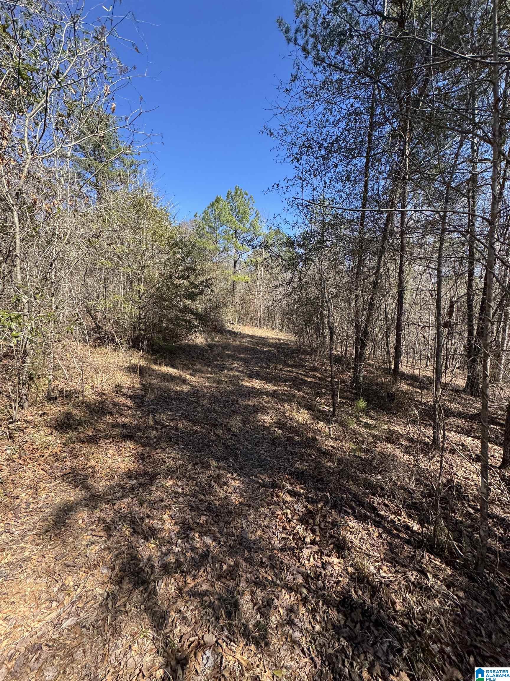 Homes for sale in Brookwood, AL | 19075 Westside Road, Brookwood, AL 35444 | MLS# 21446034