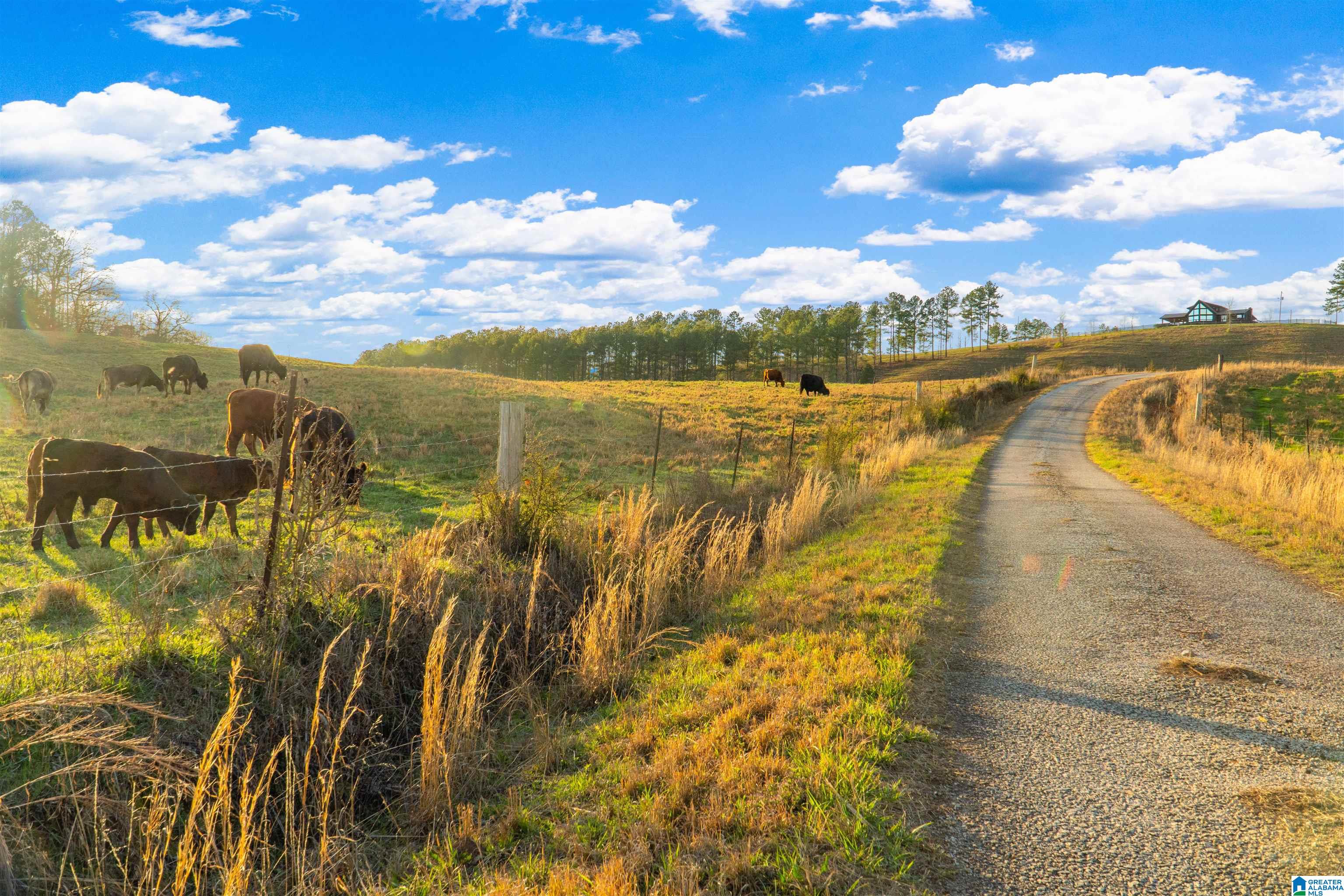 Homes for sale in Wadley, AL | 1797 County Road 15, Wadley, AL 36276 | MLS# 21446073